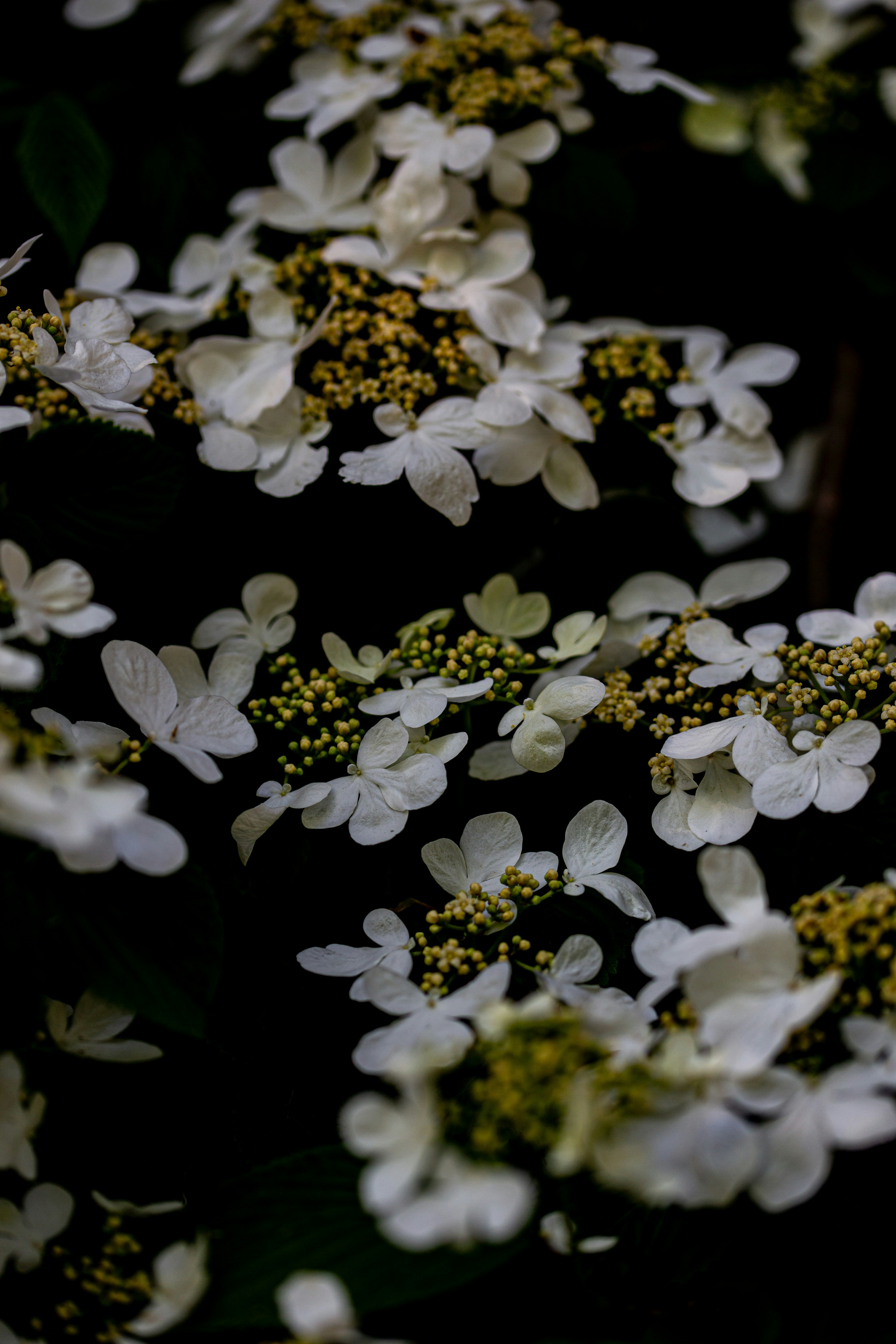 Photo by hdbernd