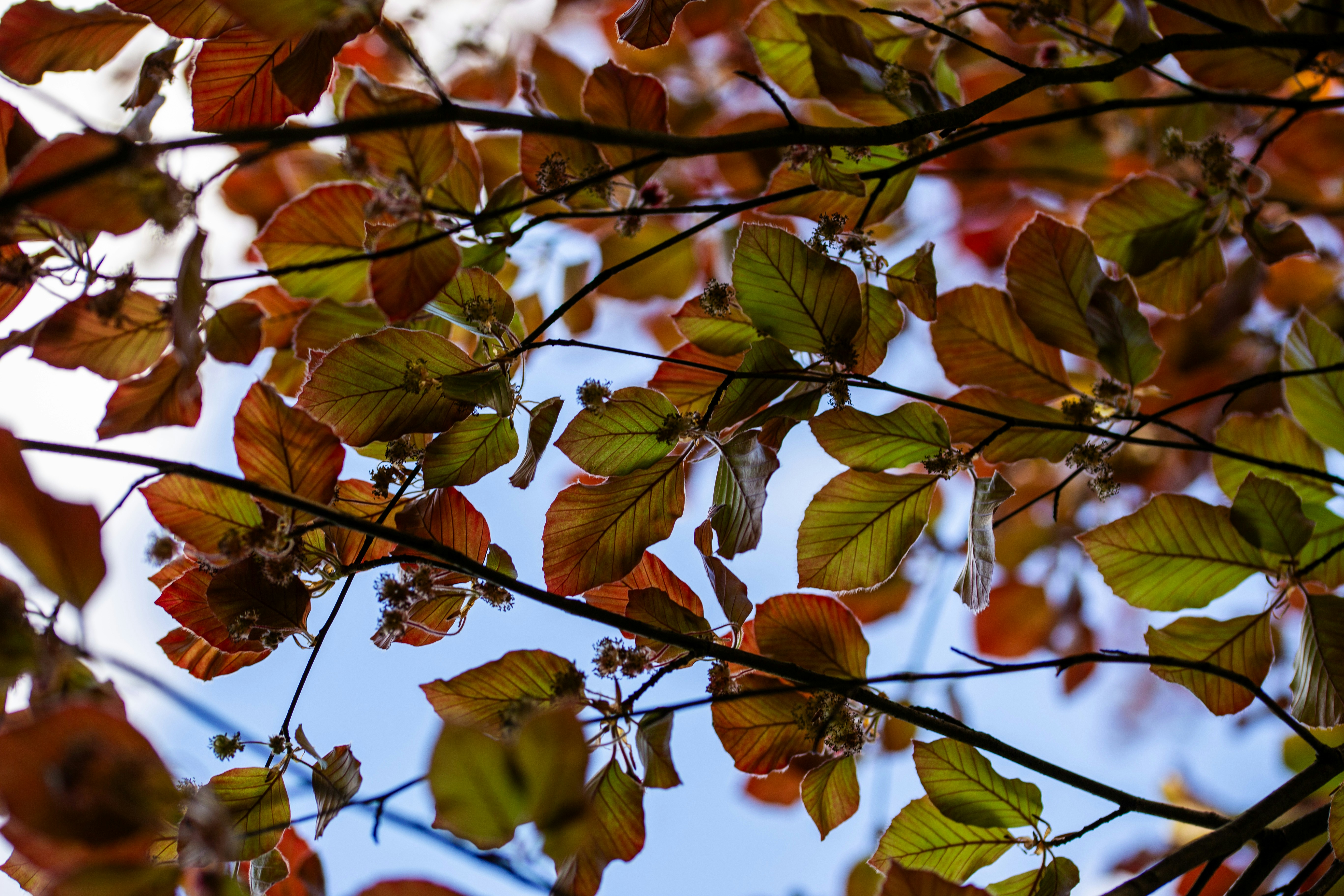 Photo by hdbernd