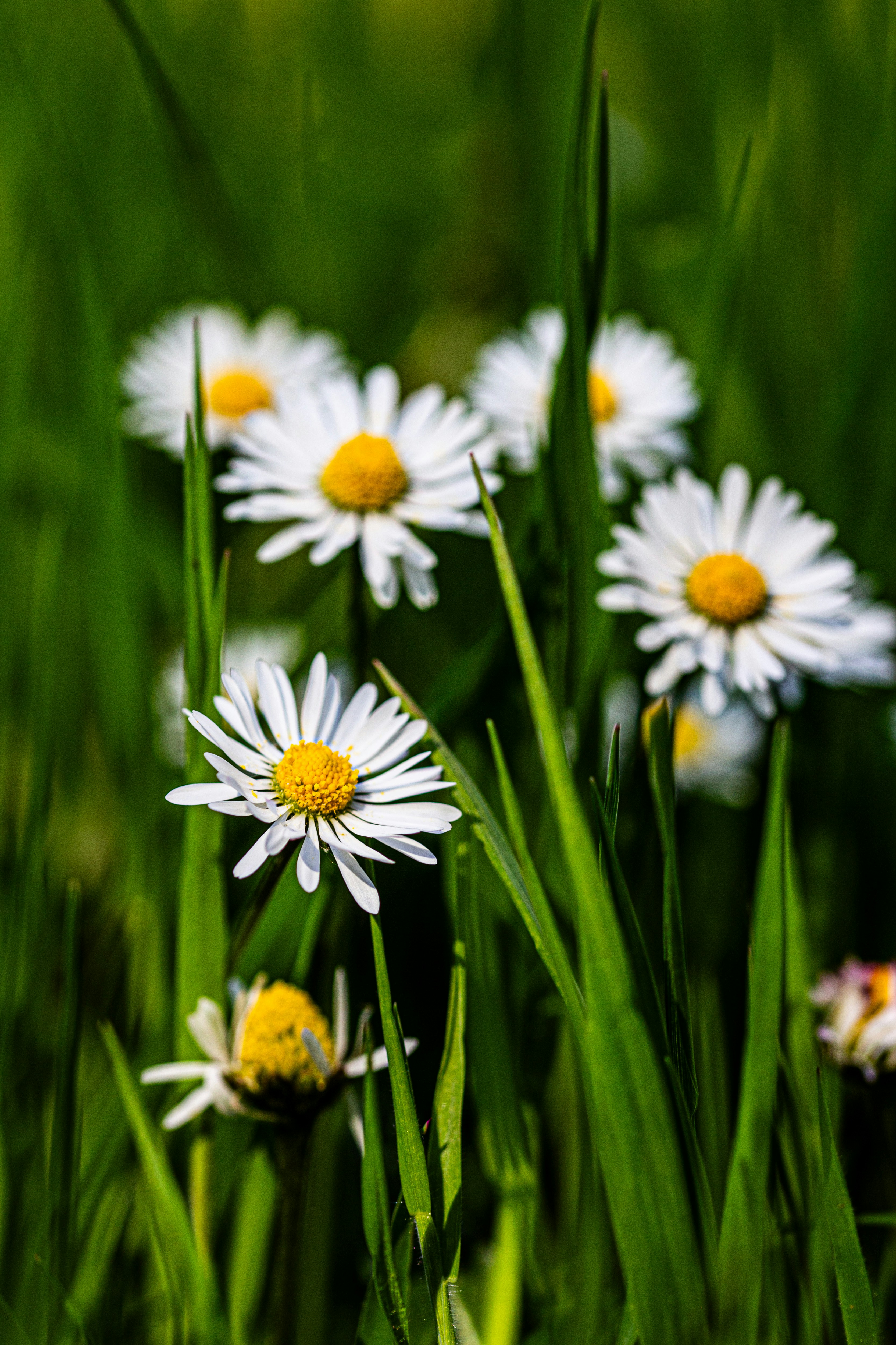 Photo by hdbernd