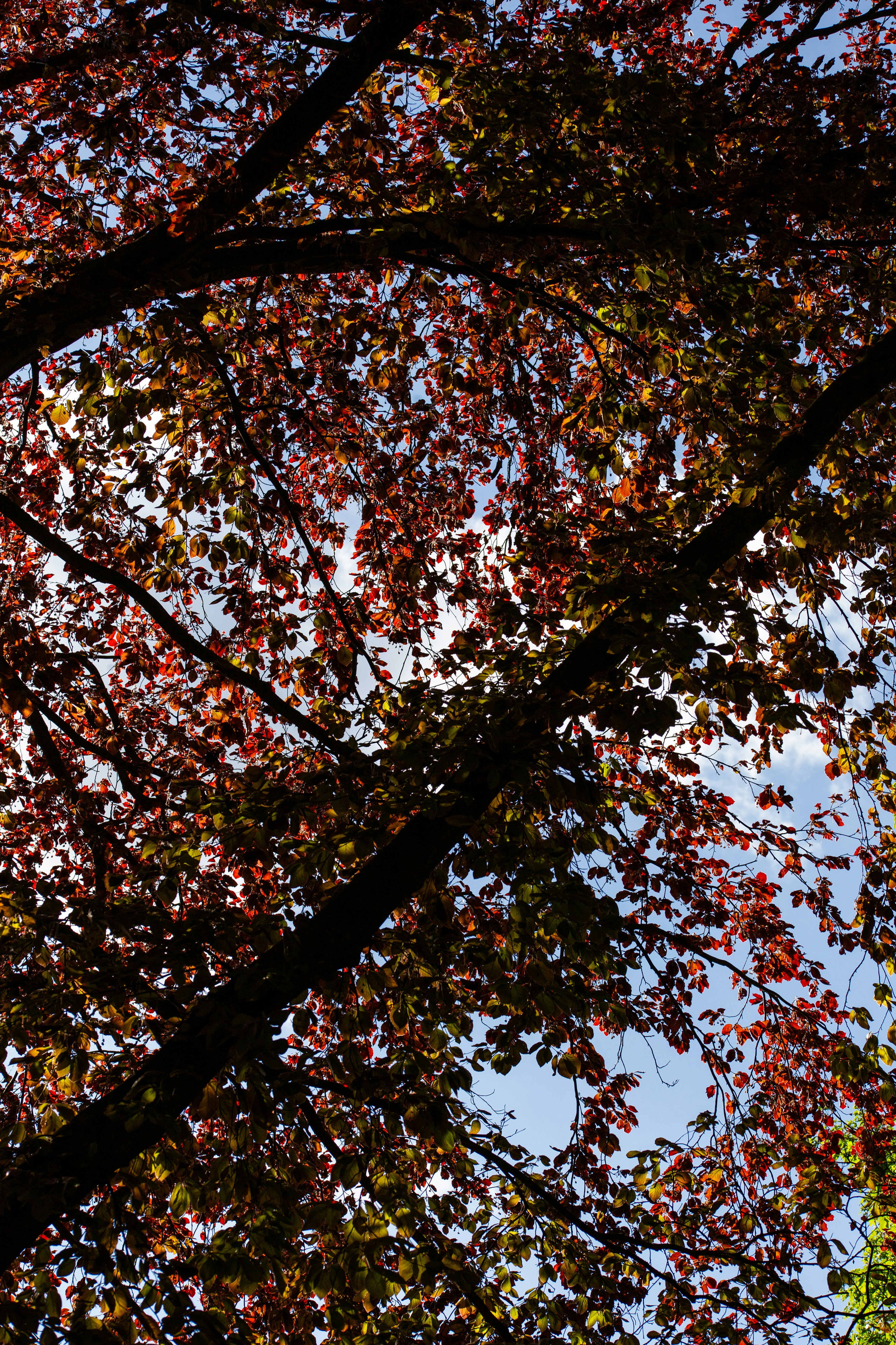 Photo by hdbernd