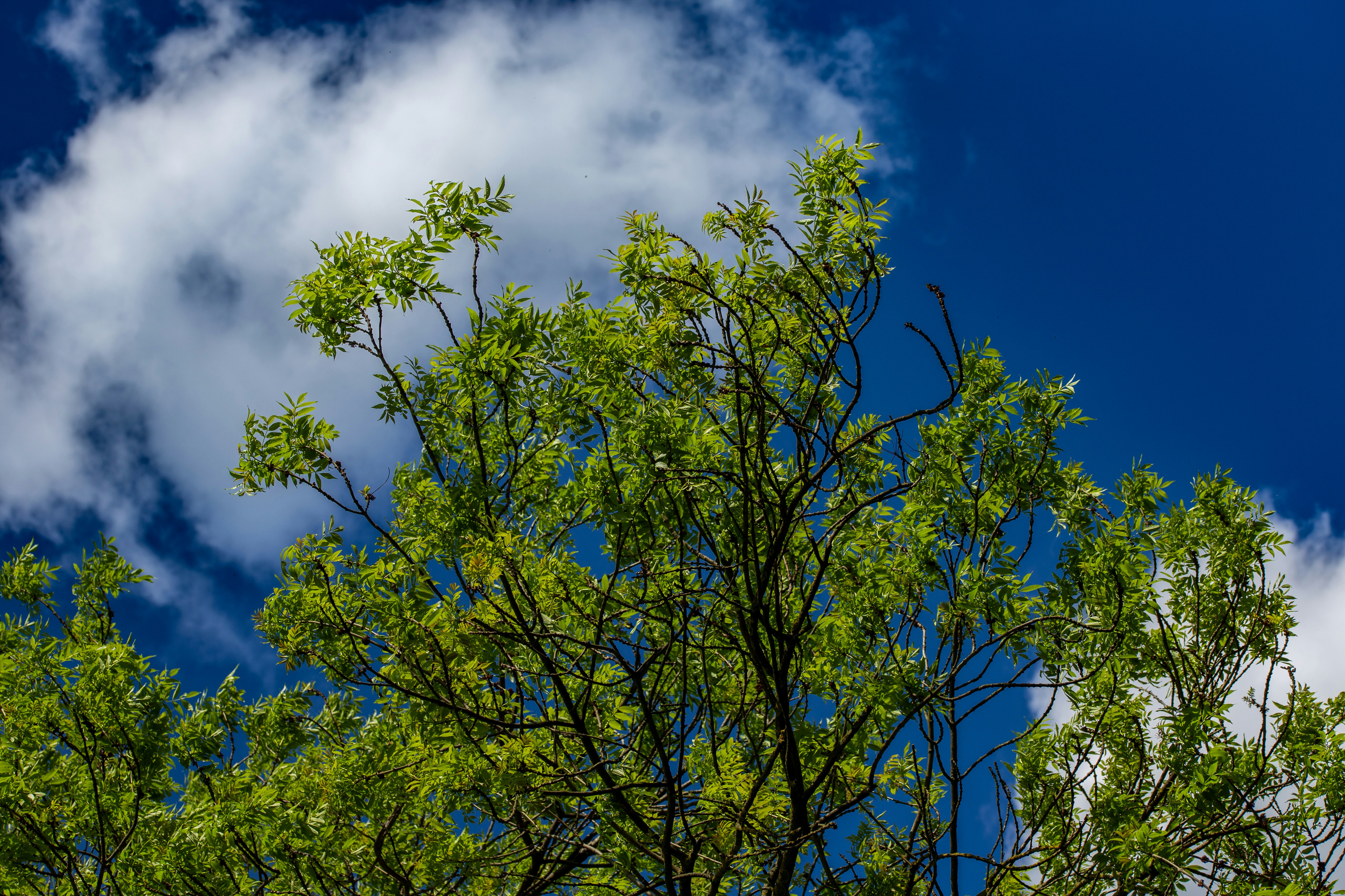Photo by hdbernd