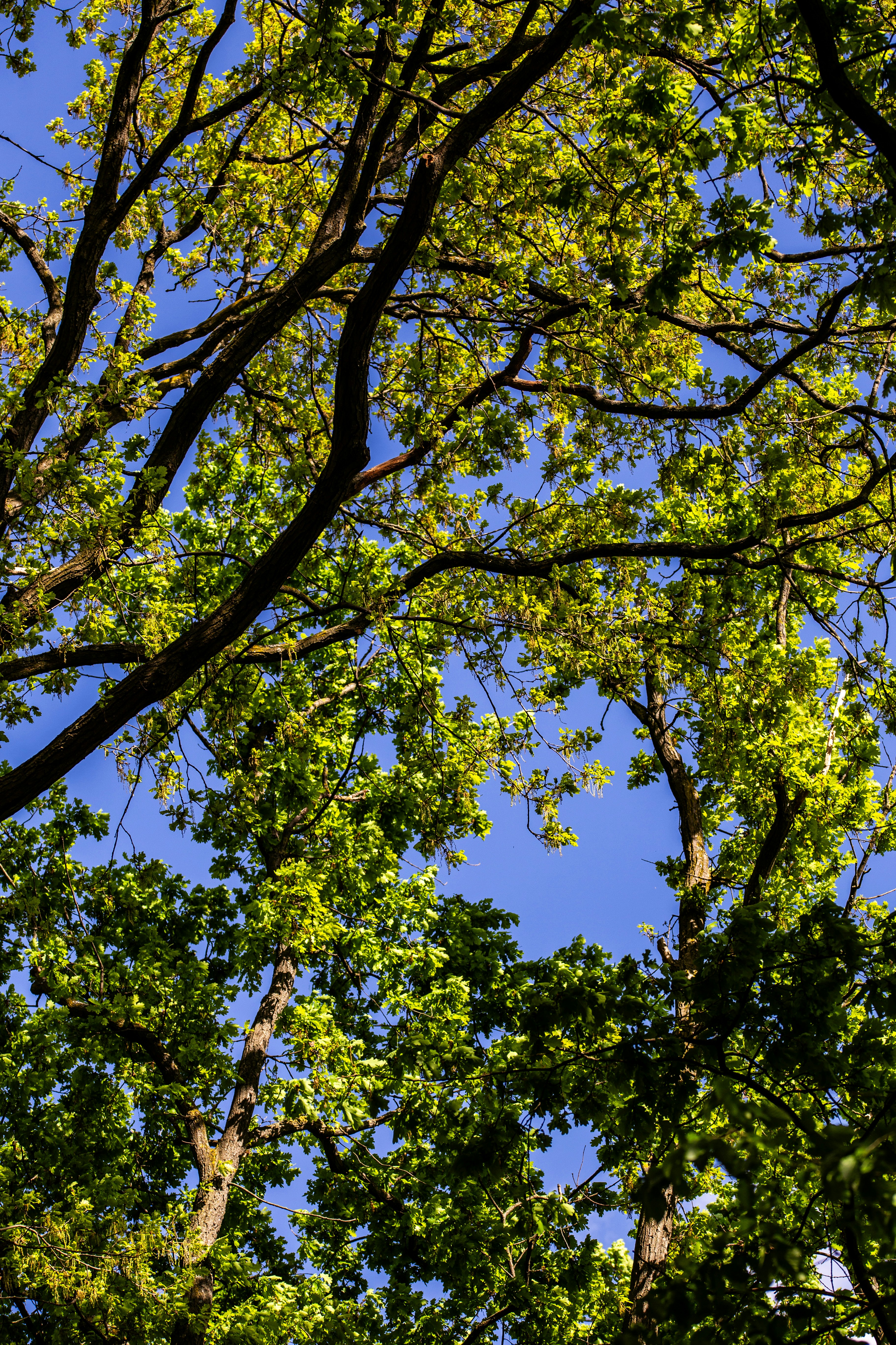 Photo by hdbernd