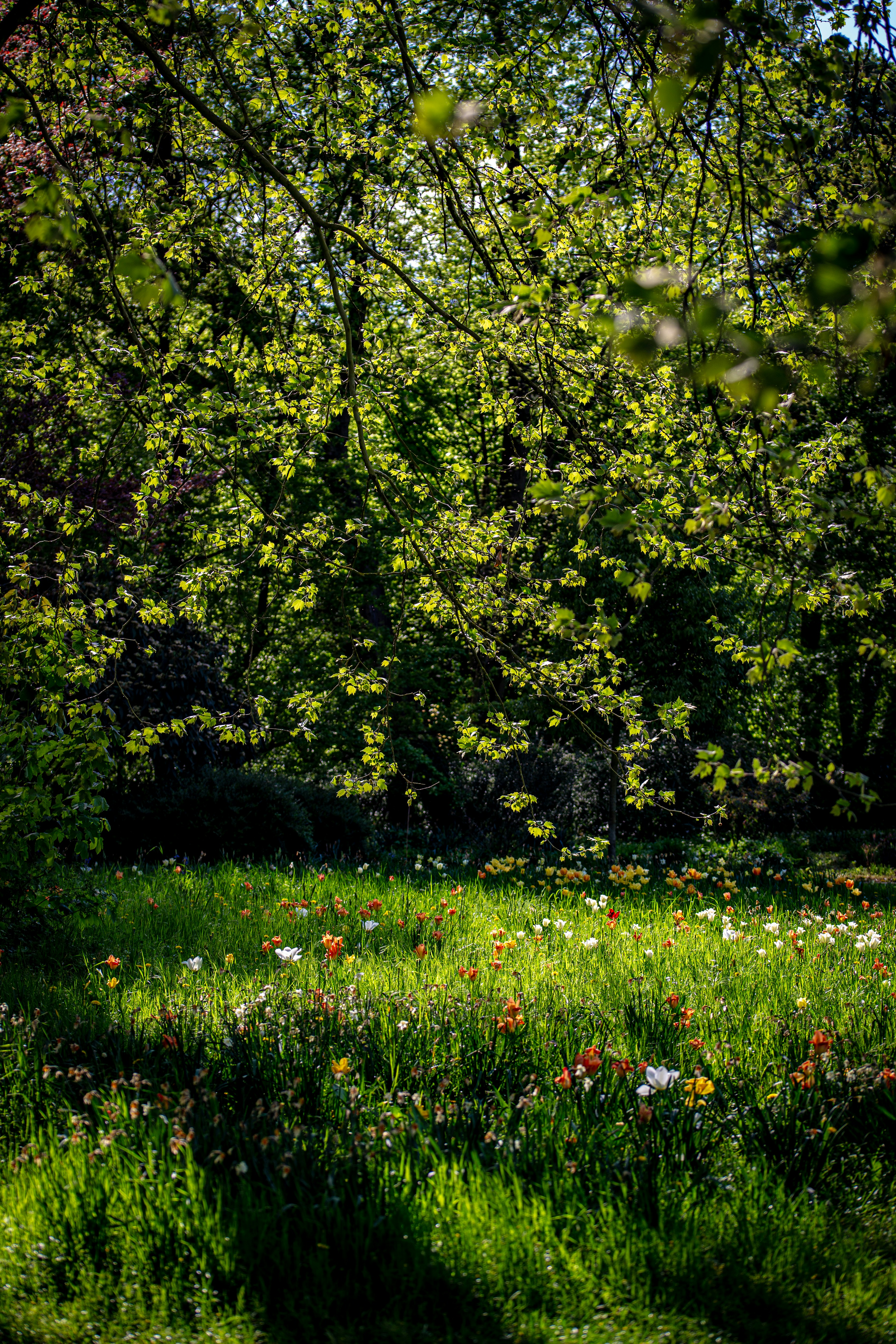 Photo by hdbernd