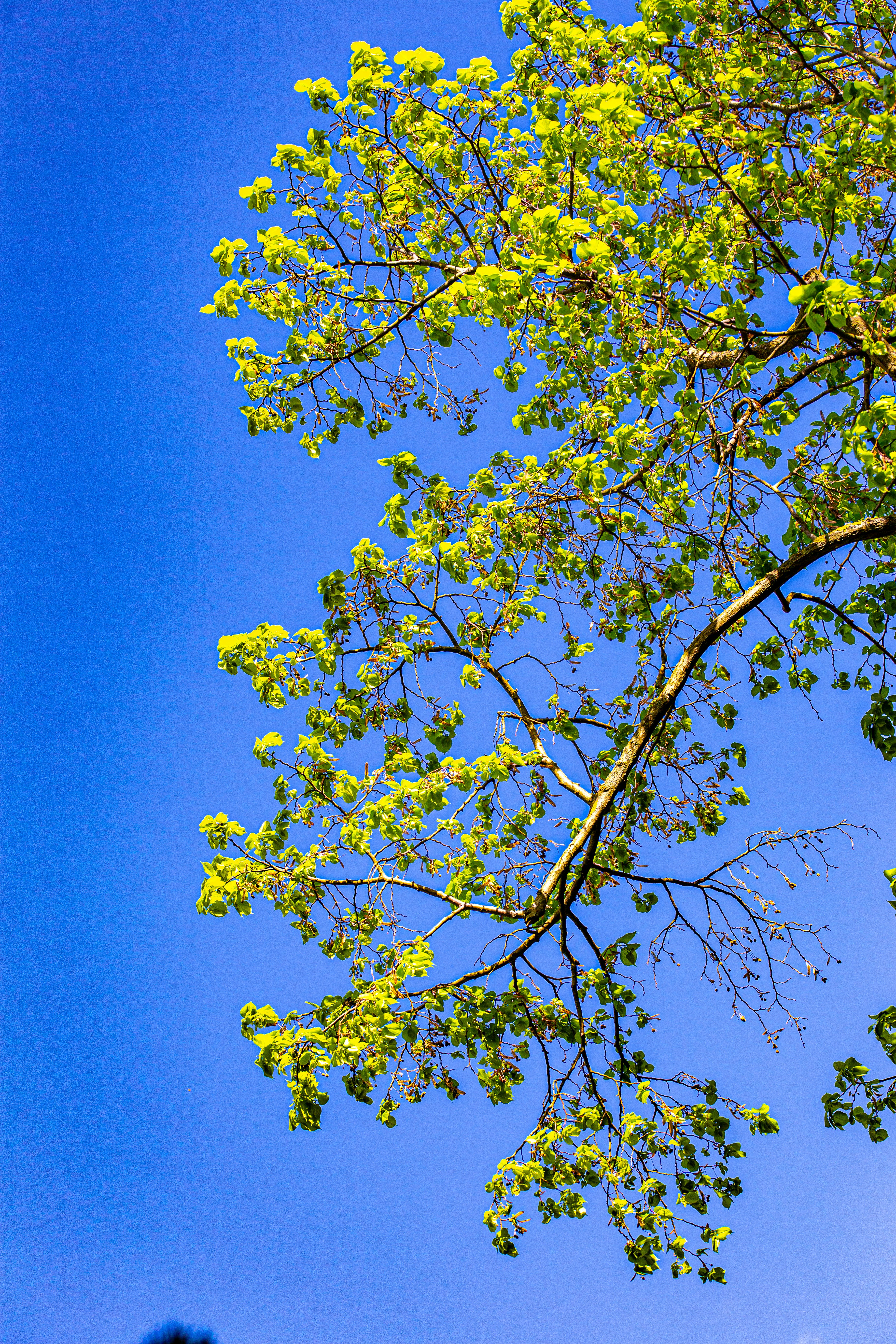 Photo by hdbernd
