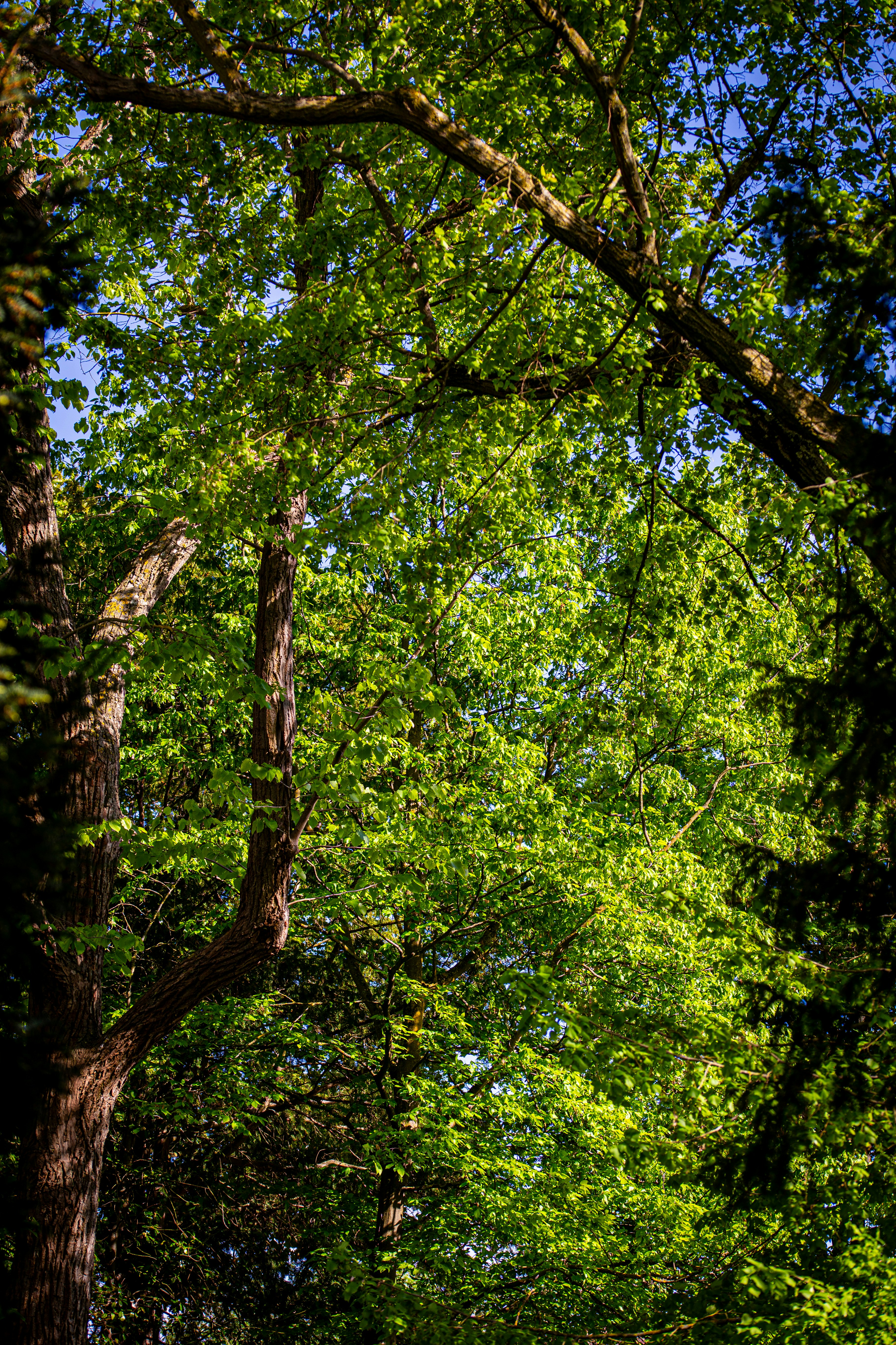Photo by hdbernd