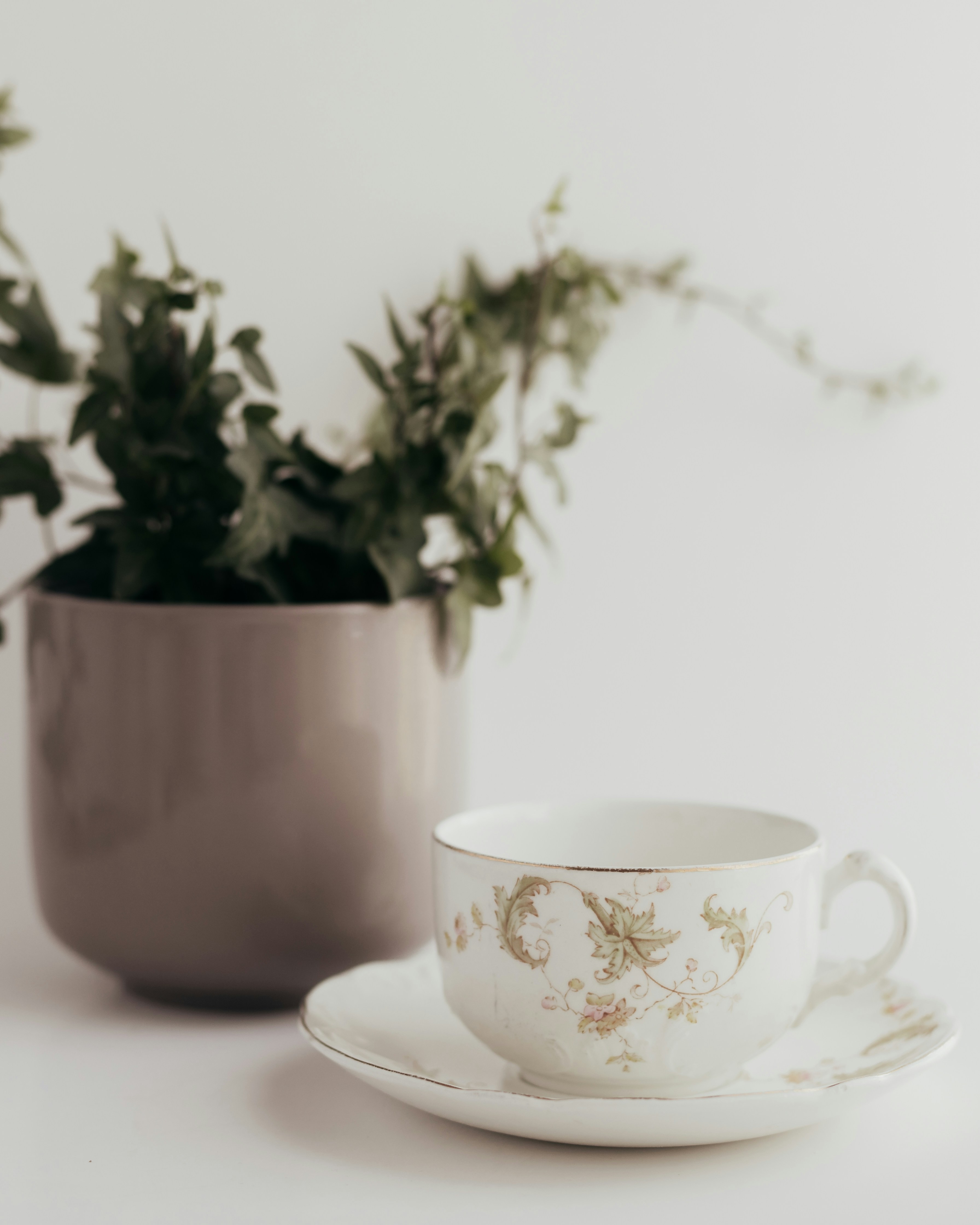 A teacup and saucer next to a potted plant.