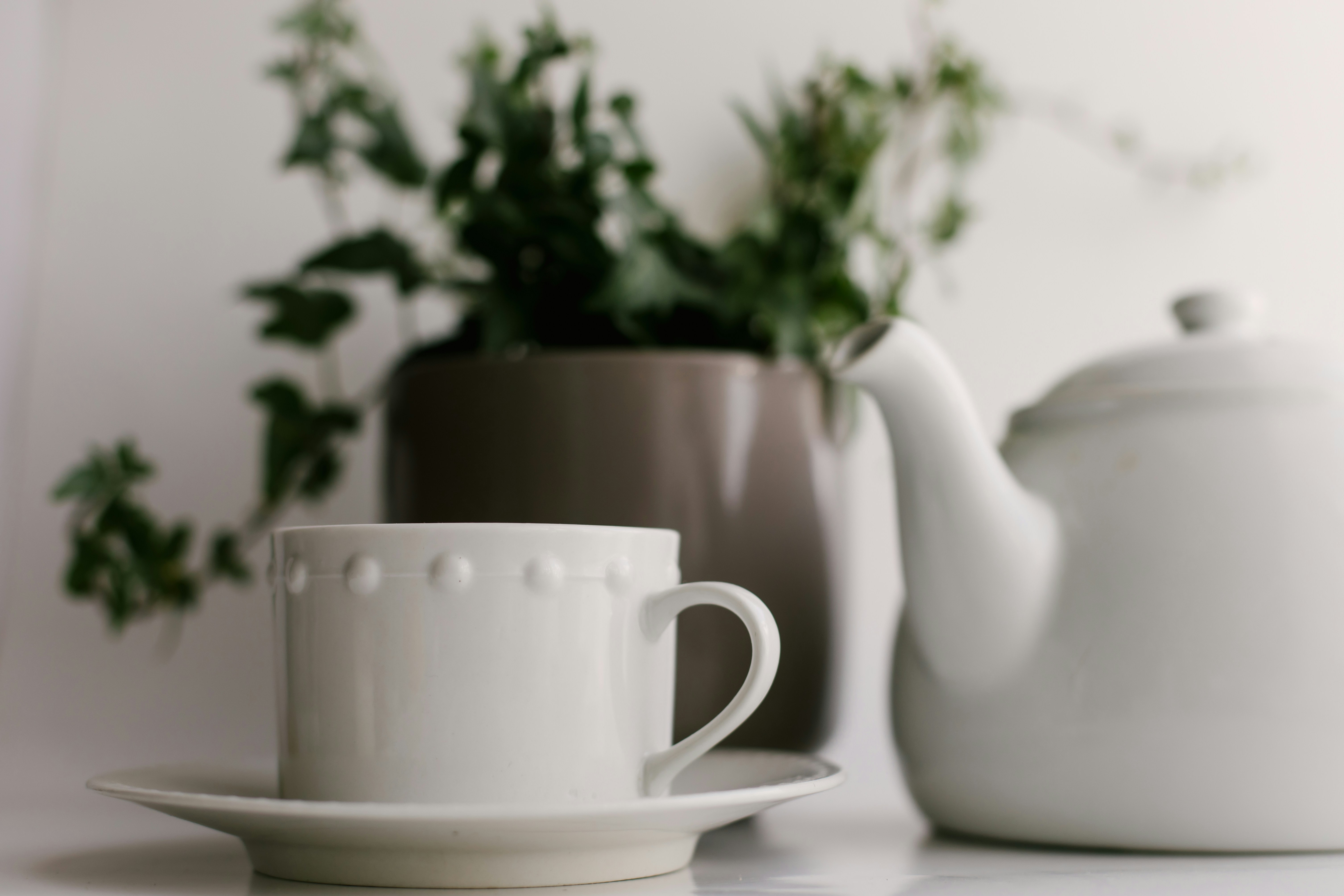 White teacup and teapot with green plant
