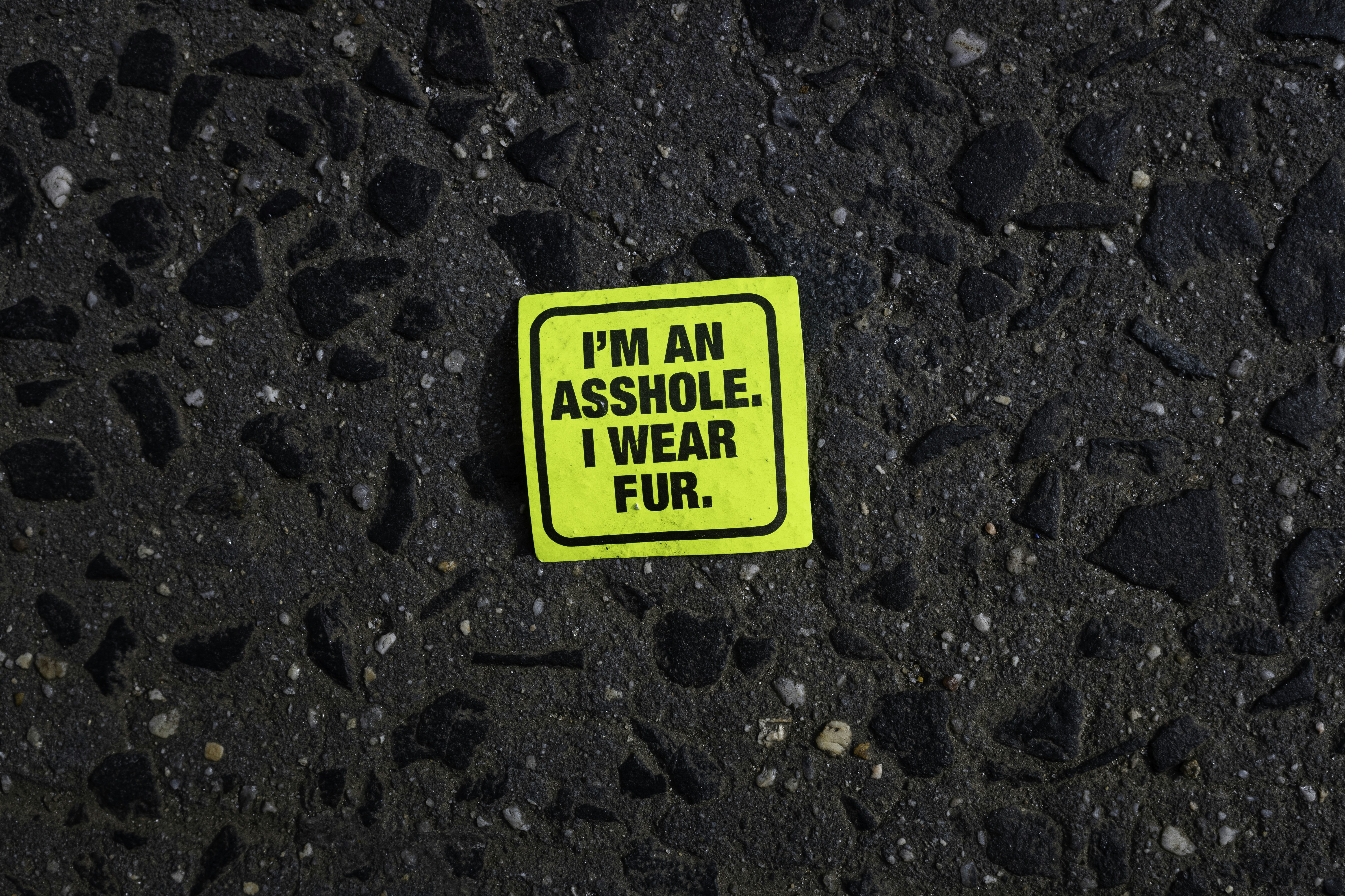 A fluorescent yellow sticker on rough asphalt reads “I’M AN ASSHOLE. I WEAR FUR.”, turning the street into a blunt piece of animal rights protest art.