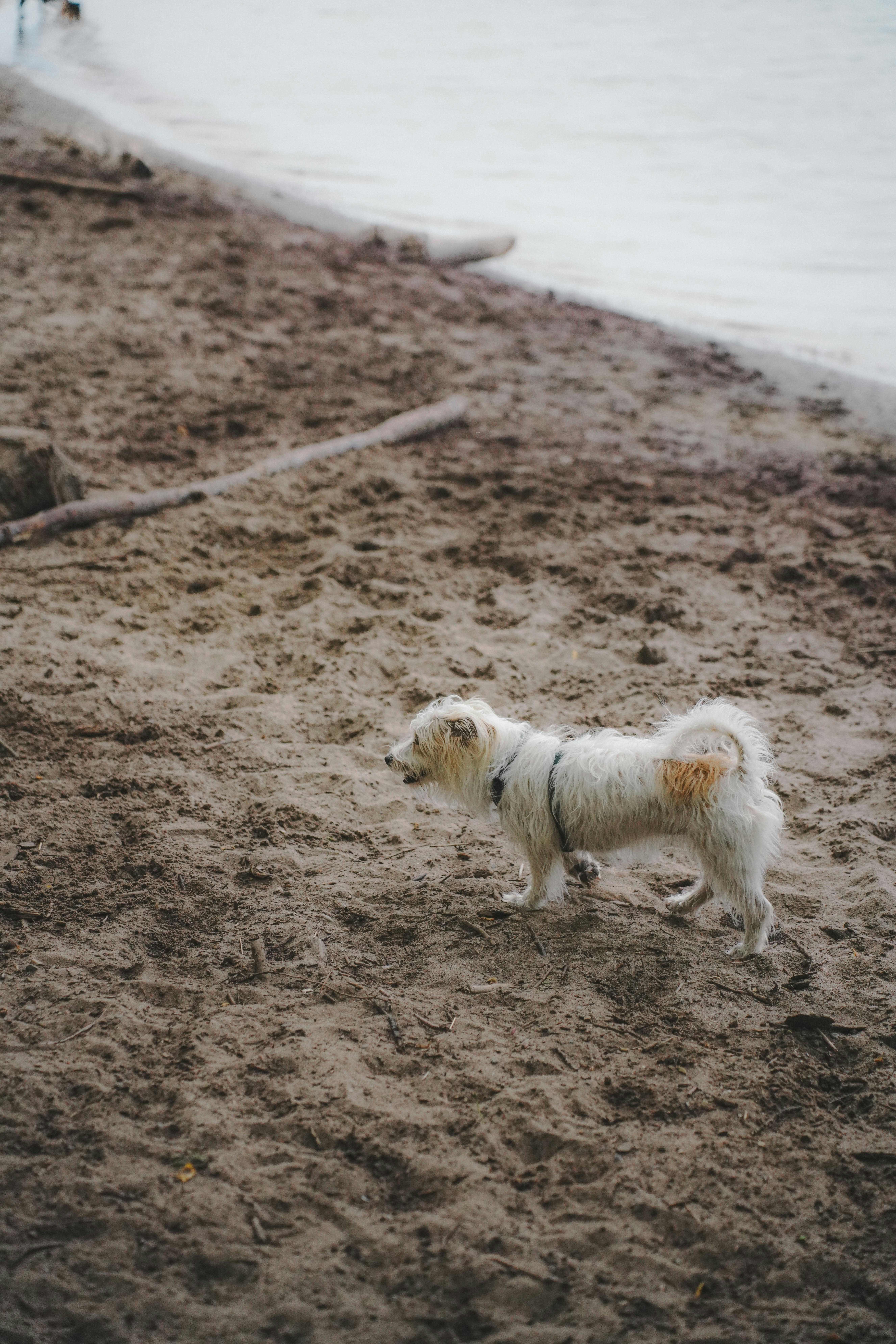 Photo by leitothemax