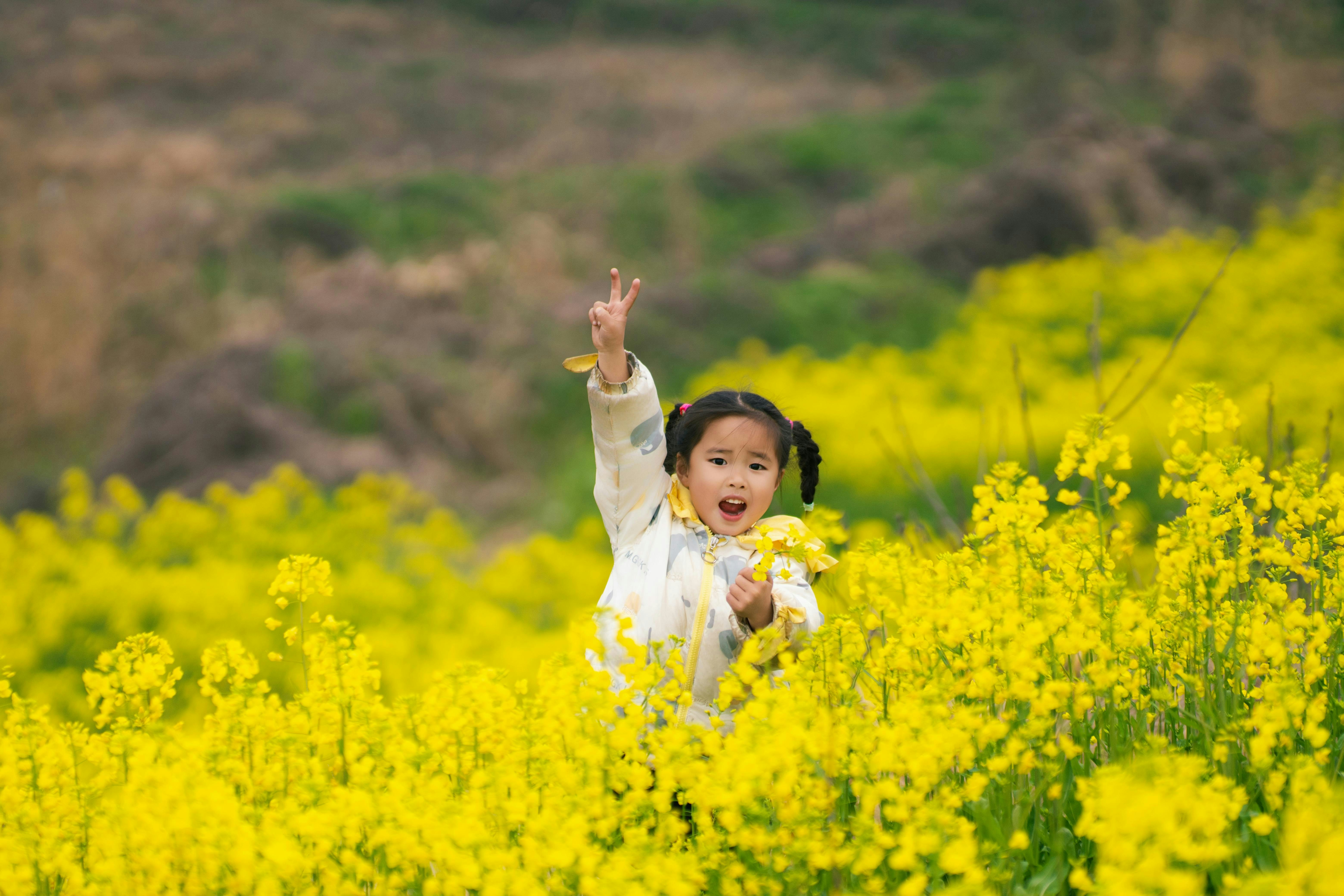 Young girl in a field of yellow flowers photo – Free Girl Image on Unsplash
