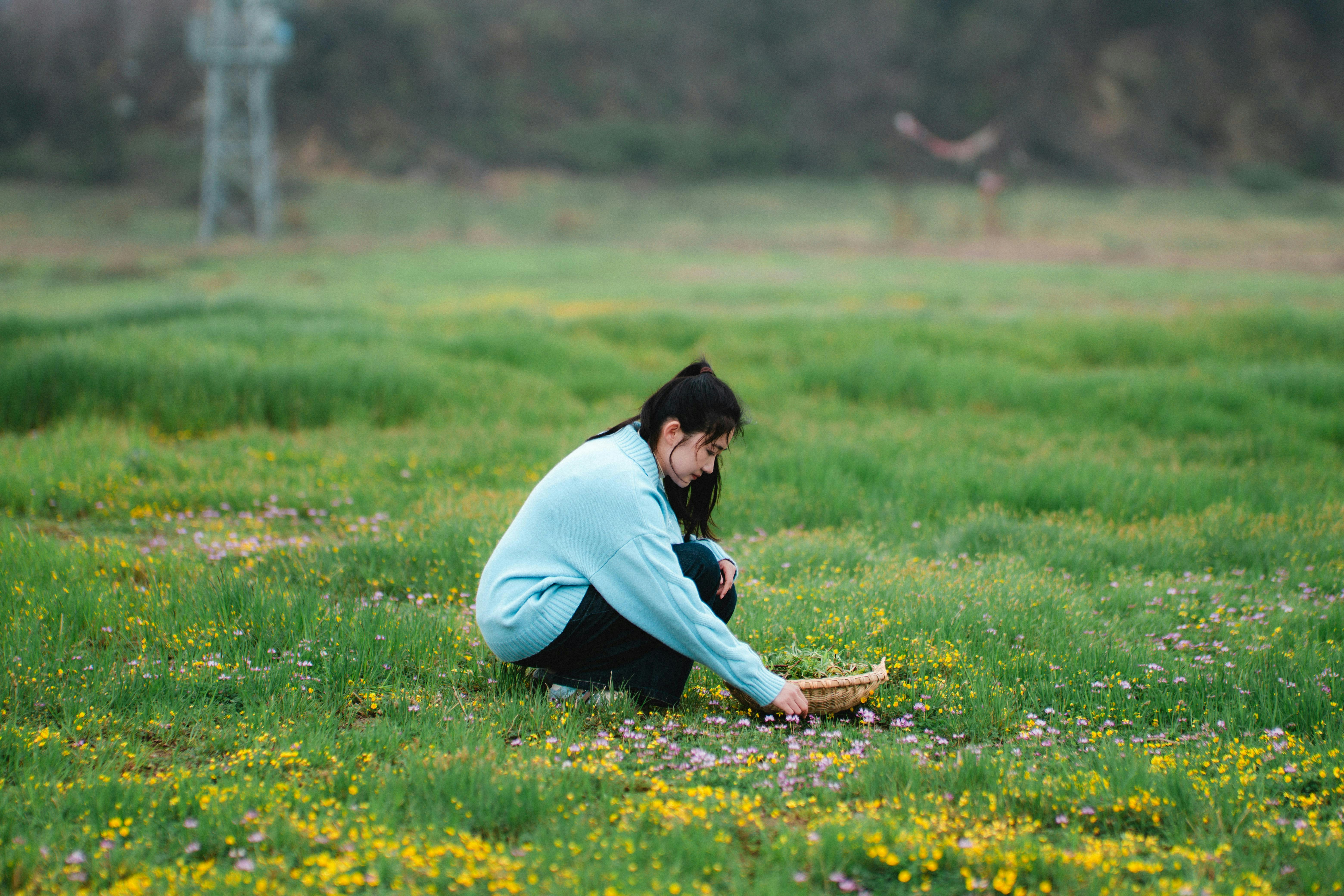 A person gathering flowers in a grassy field.
