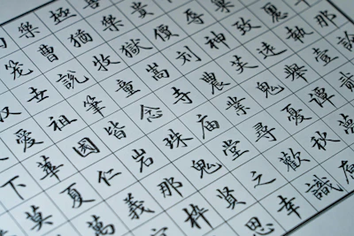 A grid of chinese calligraphy characters on paper