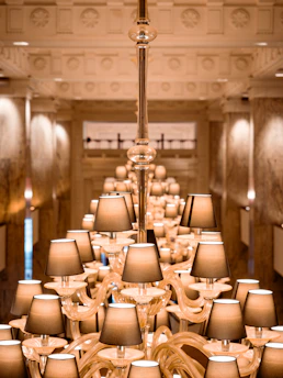 An ornate chandelier hangs in a grand hallway