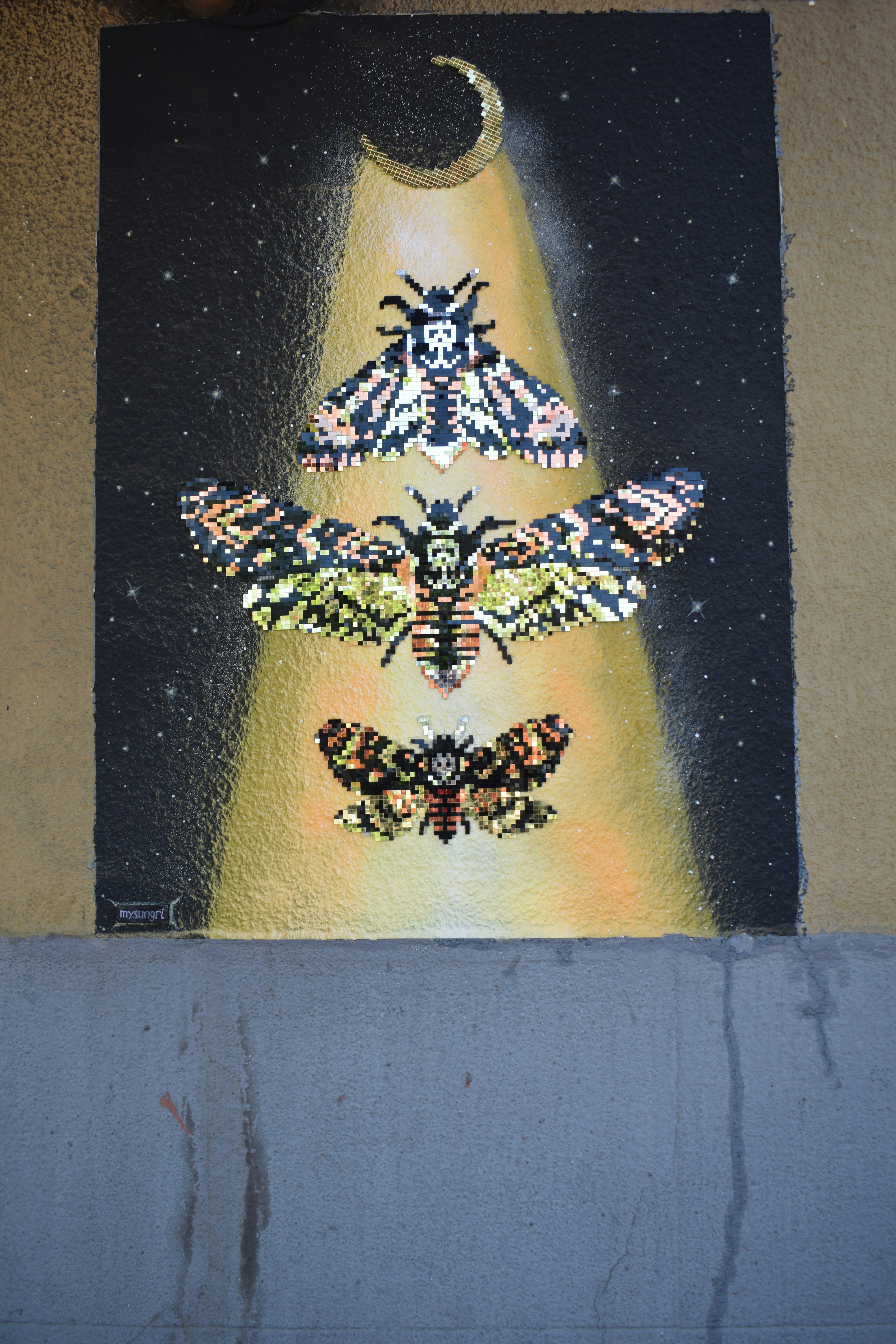 Three moths illuminated under a crescent moon