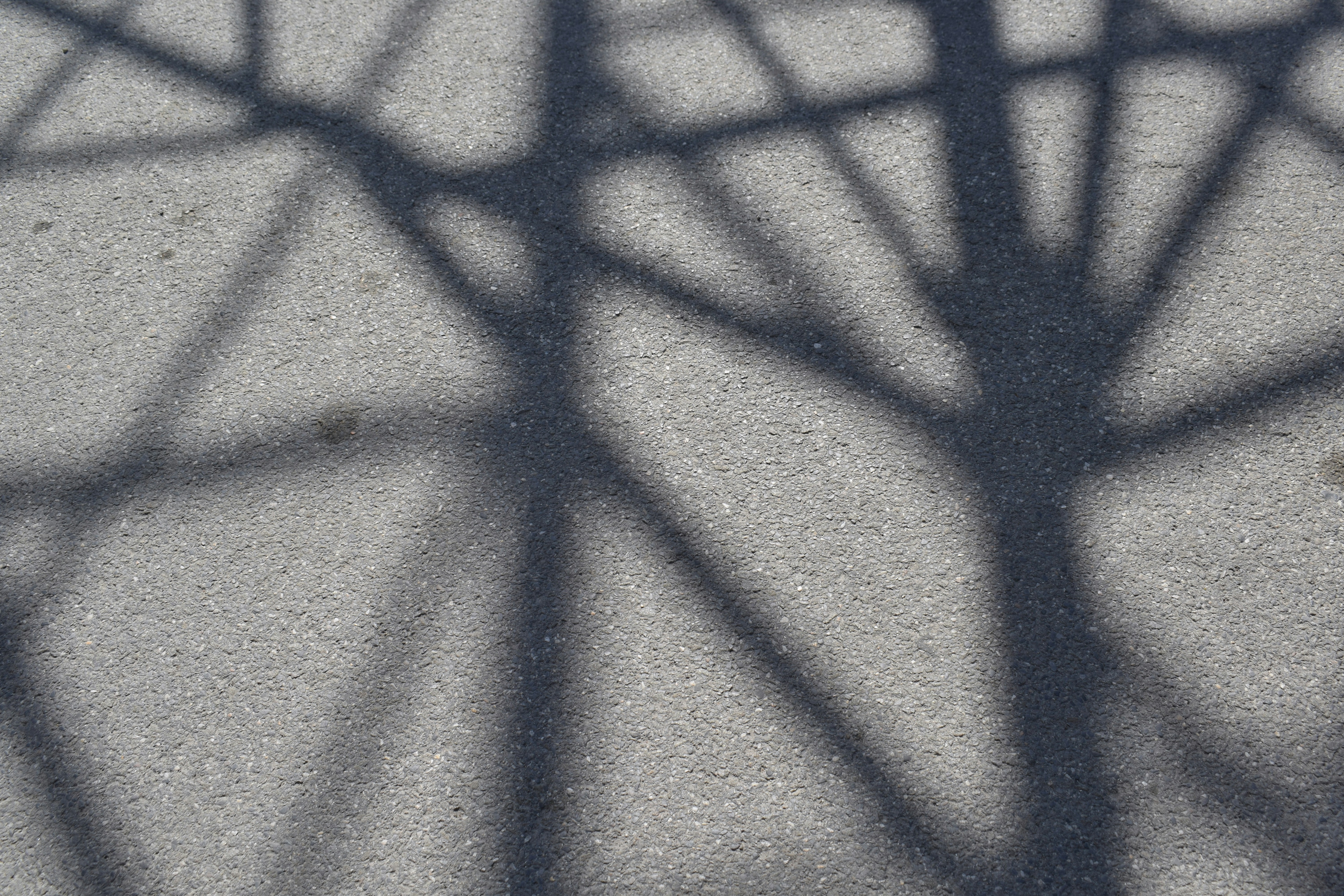 Photo by simplicity