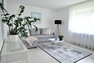 Modern living room with gray sofa and large plant