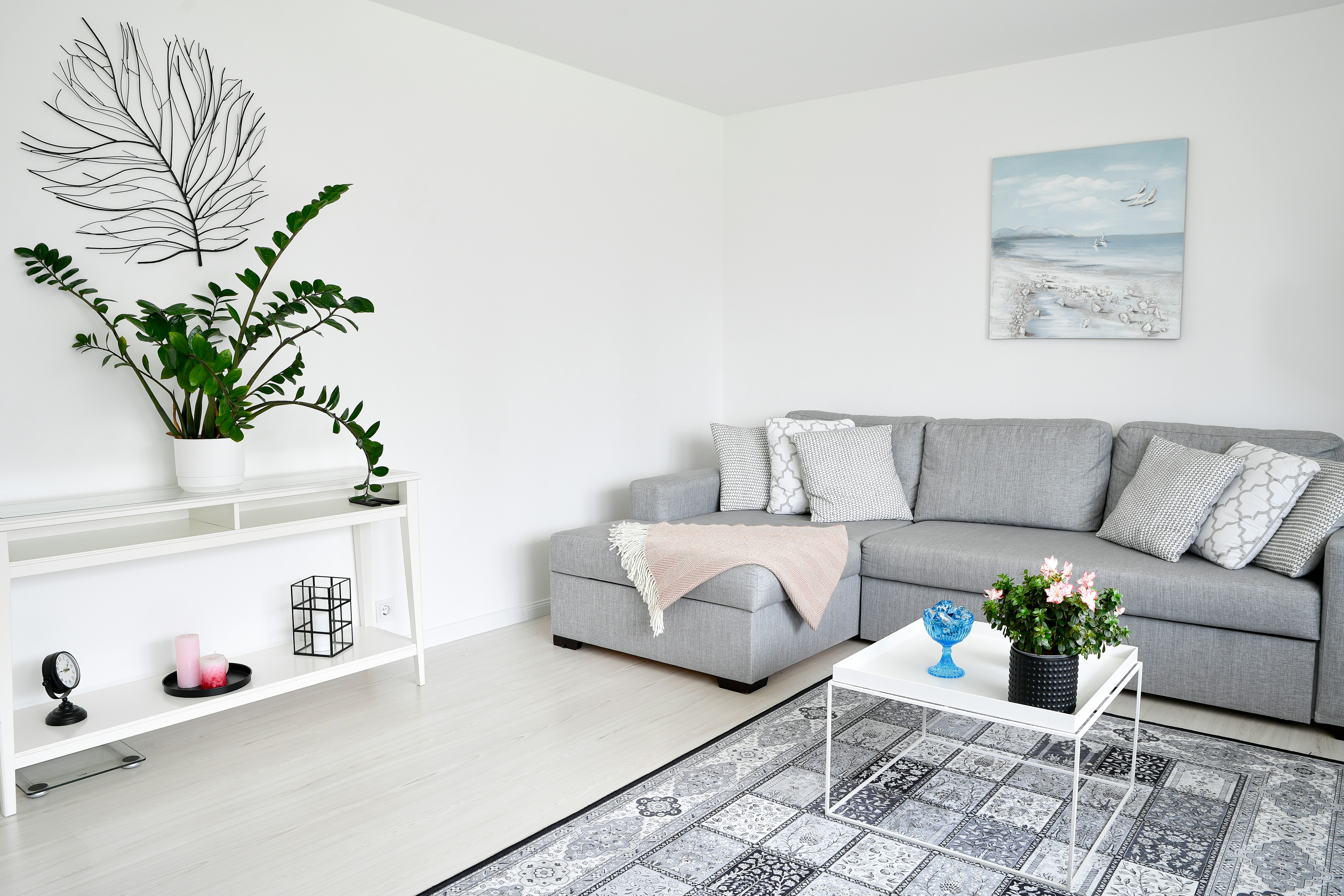Residential Cleaning
