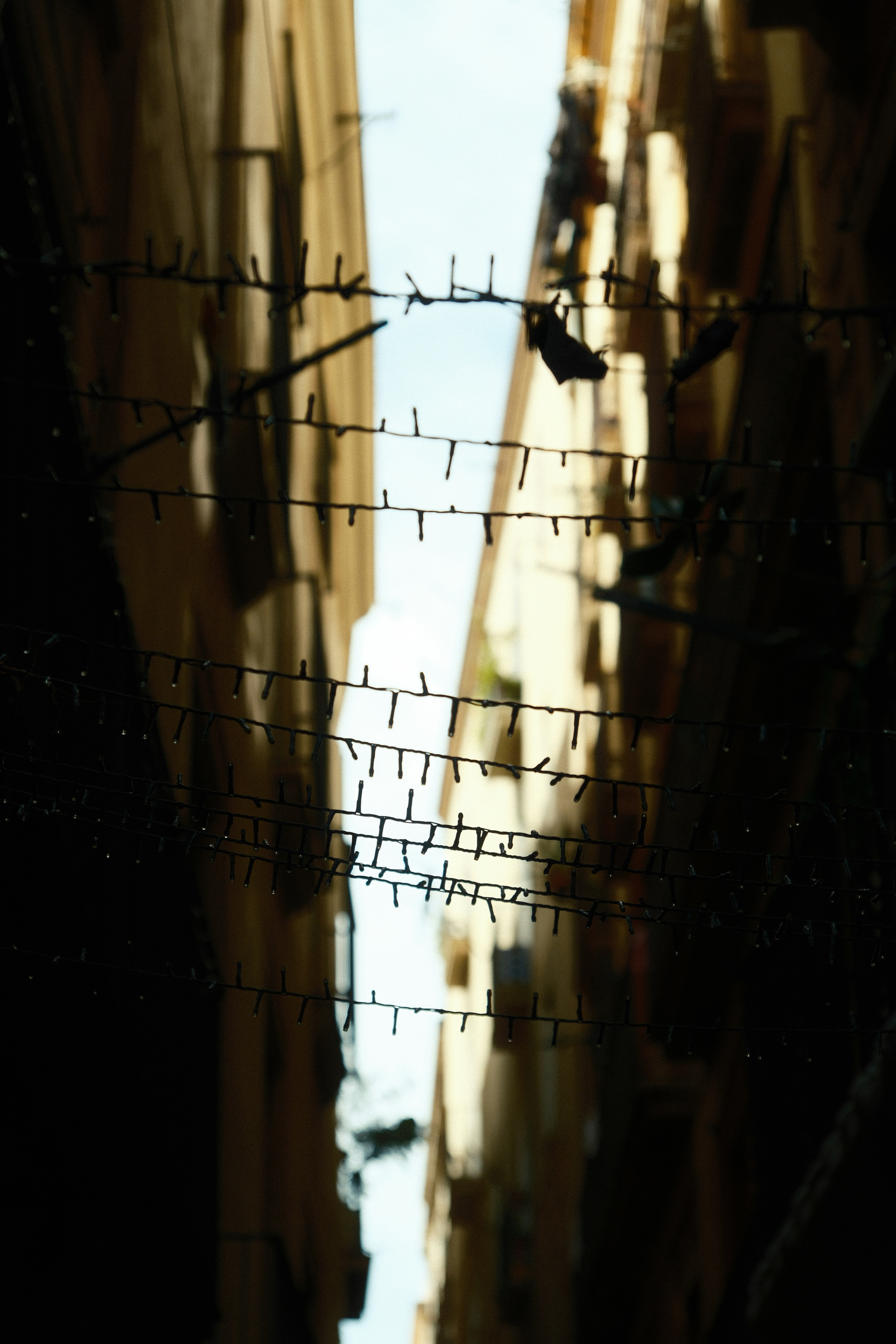 String lights hang between buildings on a narrow street.