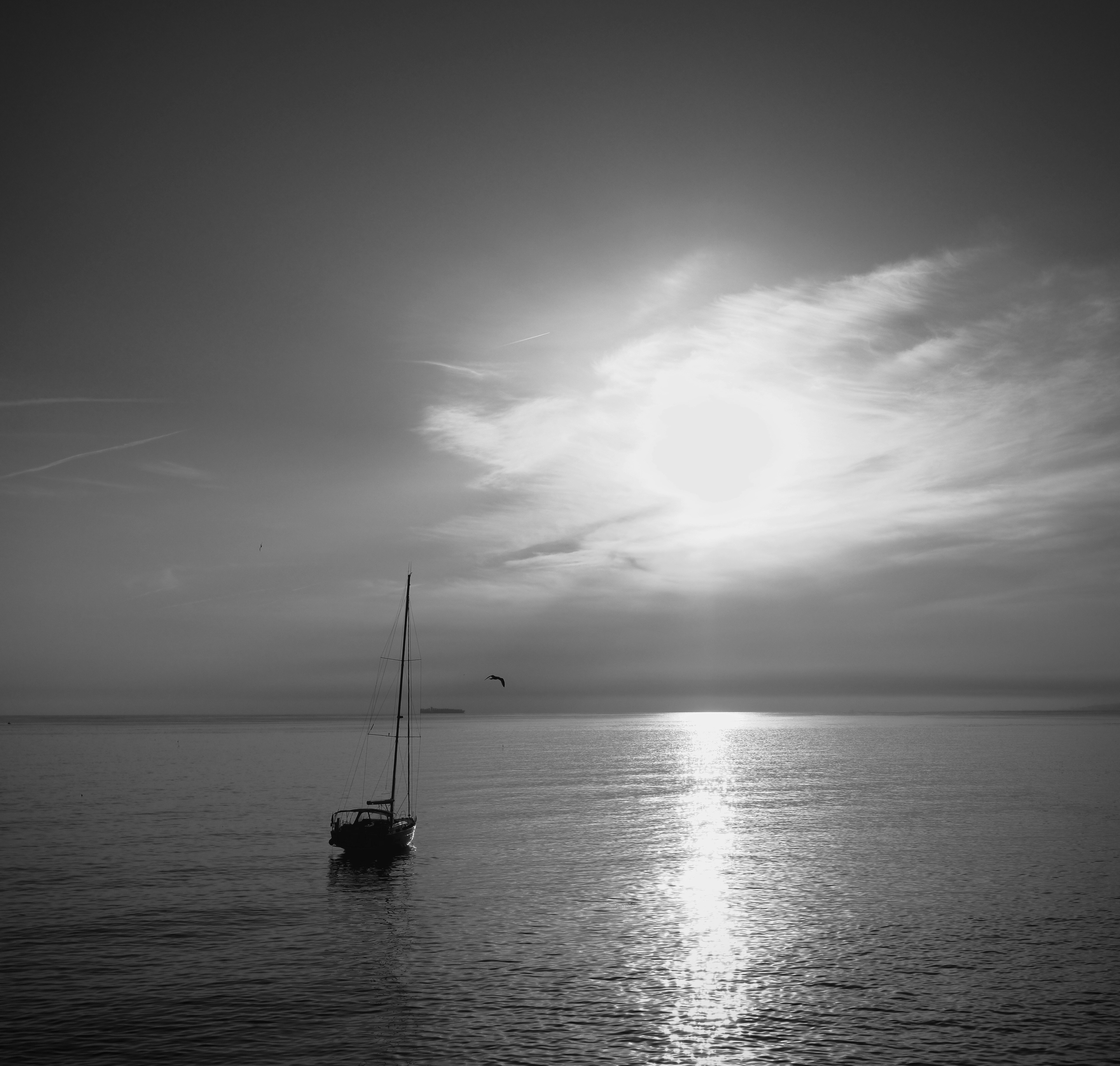 Photo by cos592