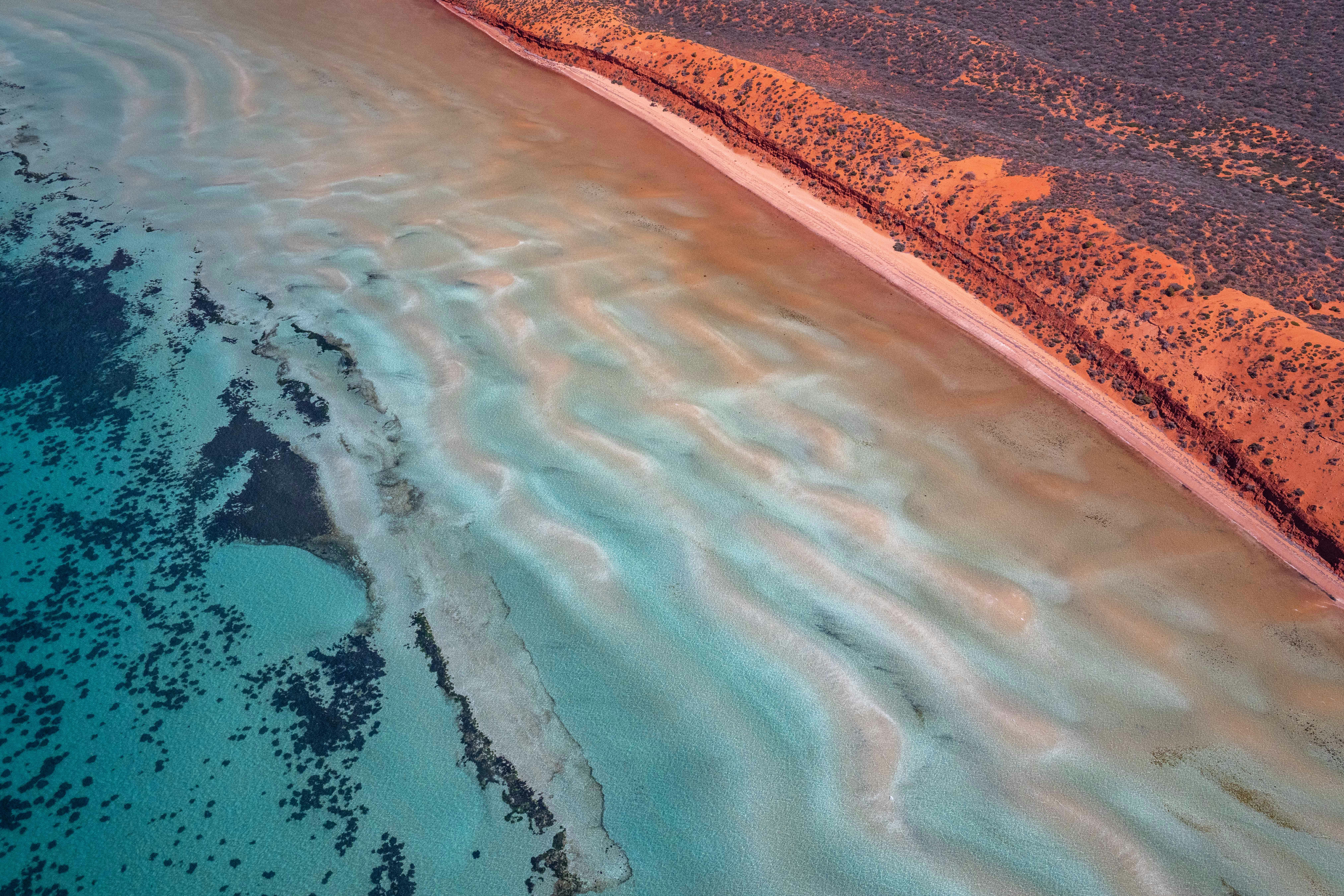 Washington Agent Registered: Your Entrance to State Conformity