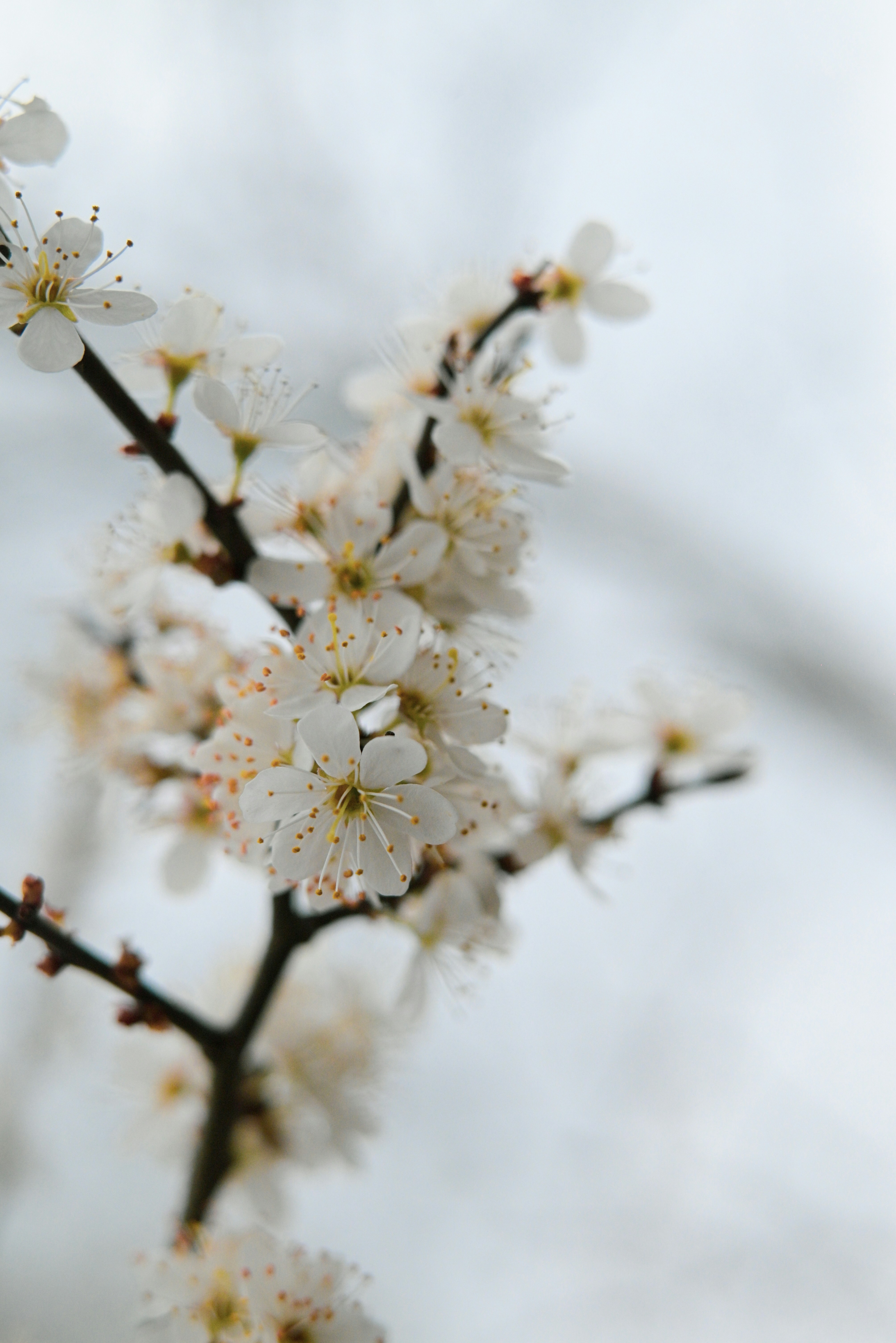 Photo by greenmood