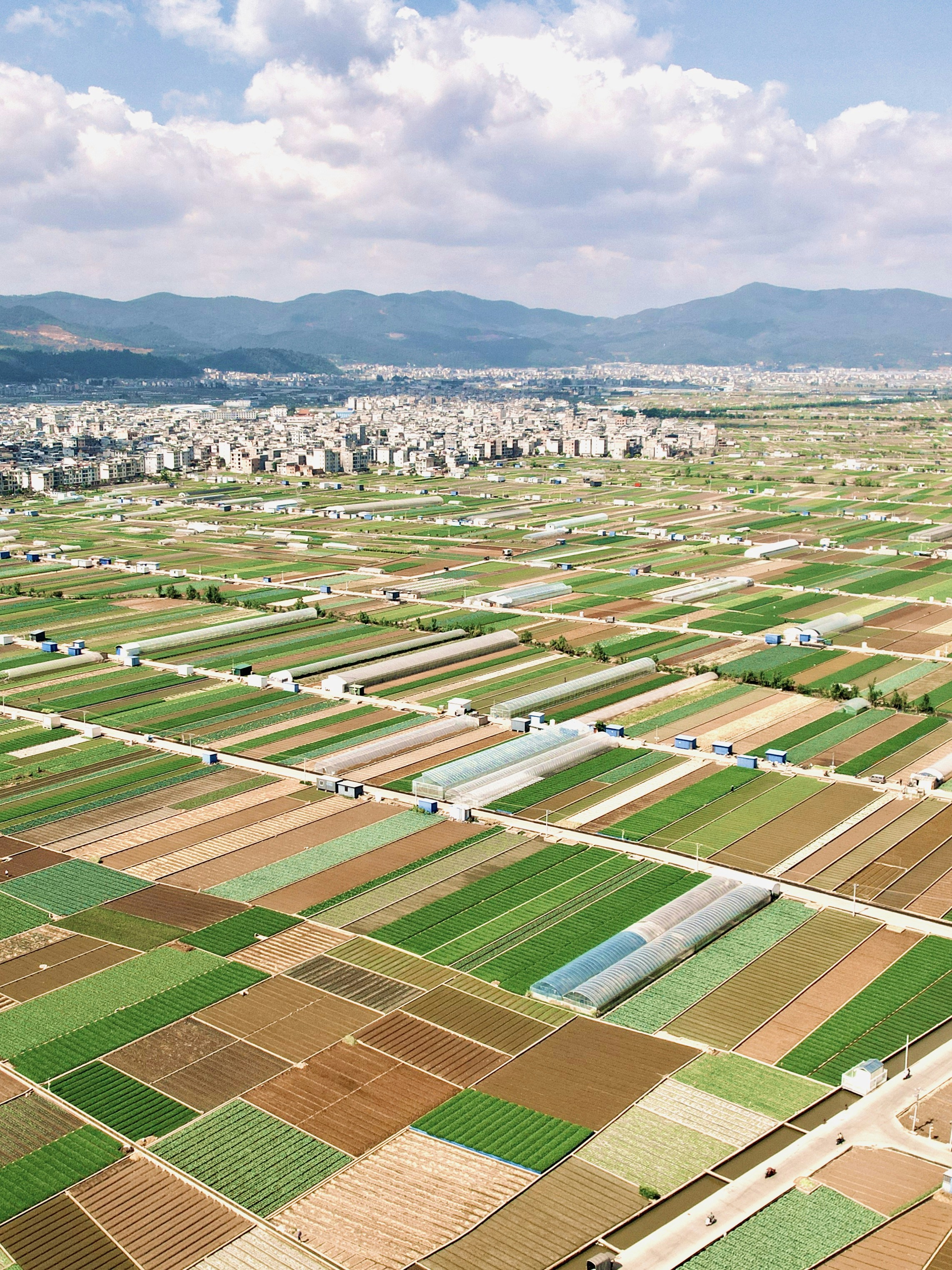 Cover Image for Pitch to Us: Robots in the Field