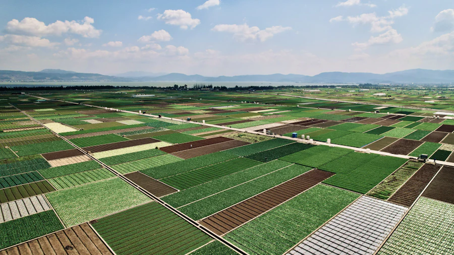 Aerial view of produce fields