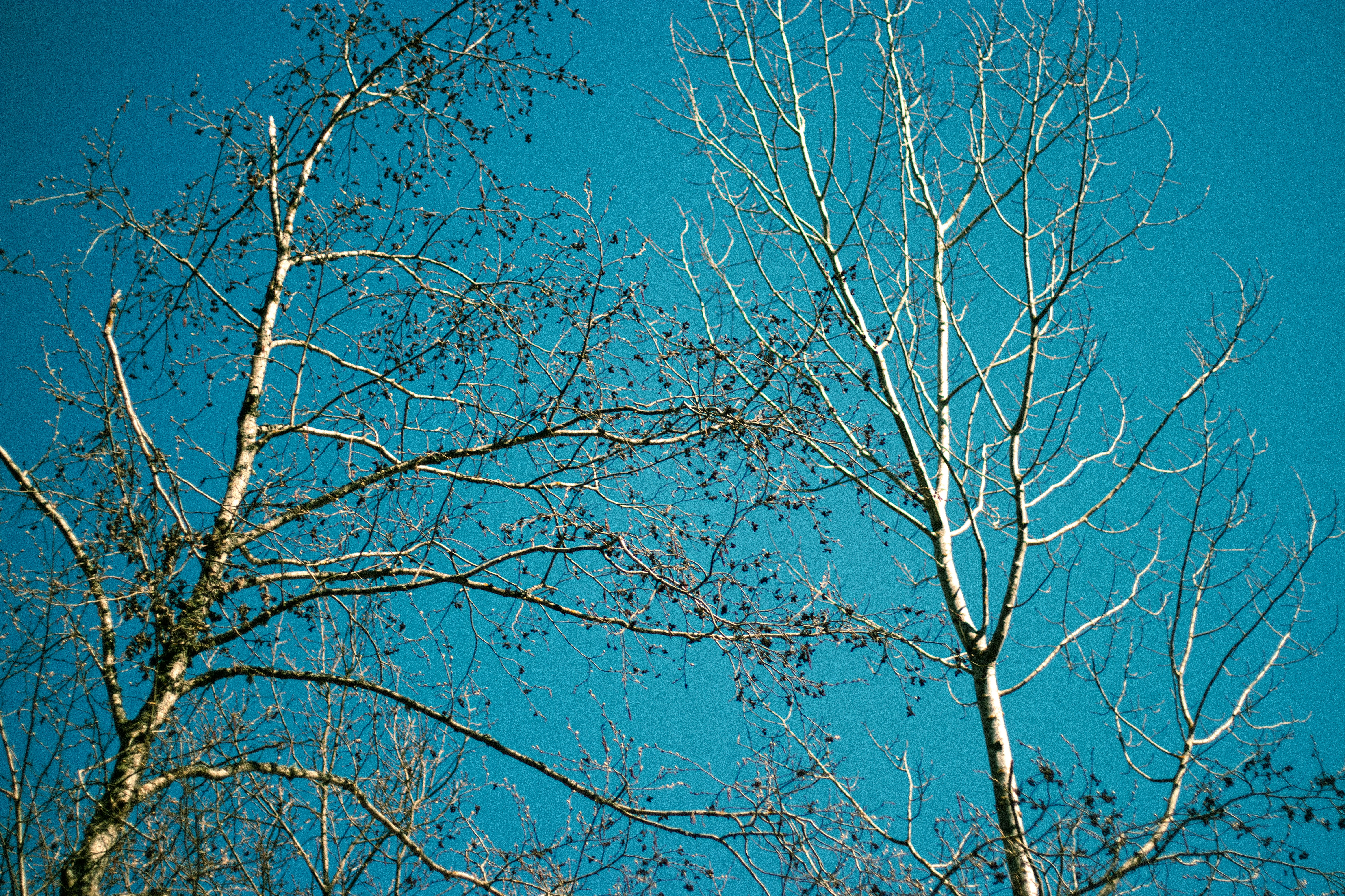 Photo by reinisbruzitis
