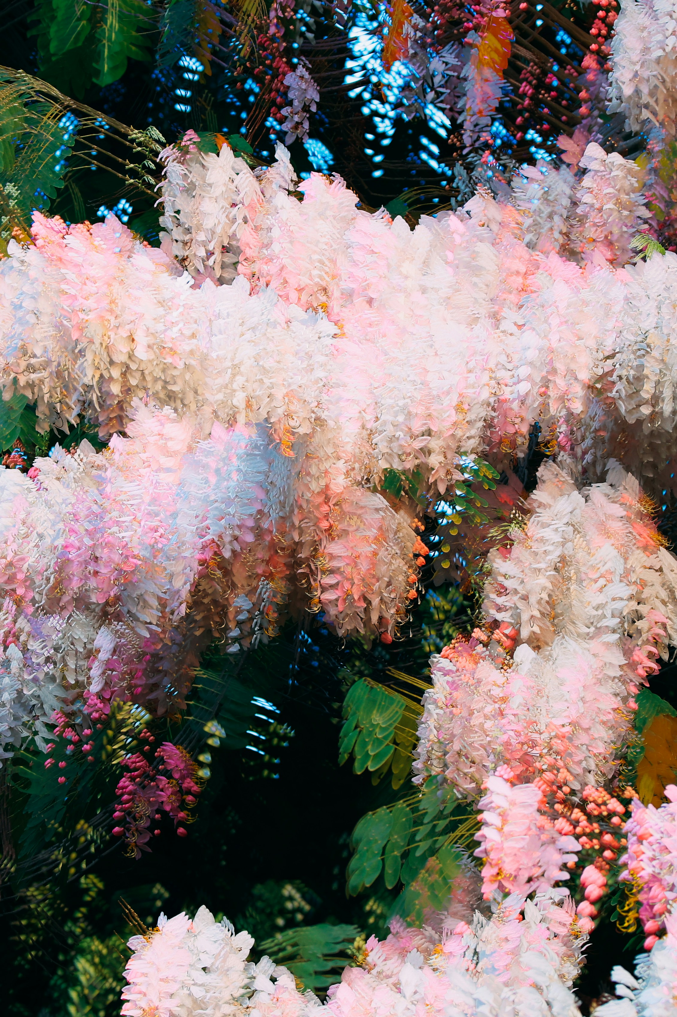 Soft pink and white flowers with green leaves