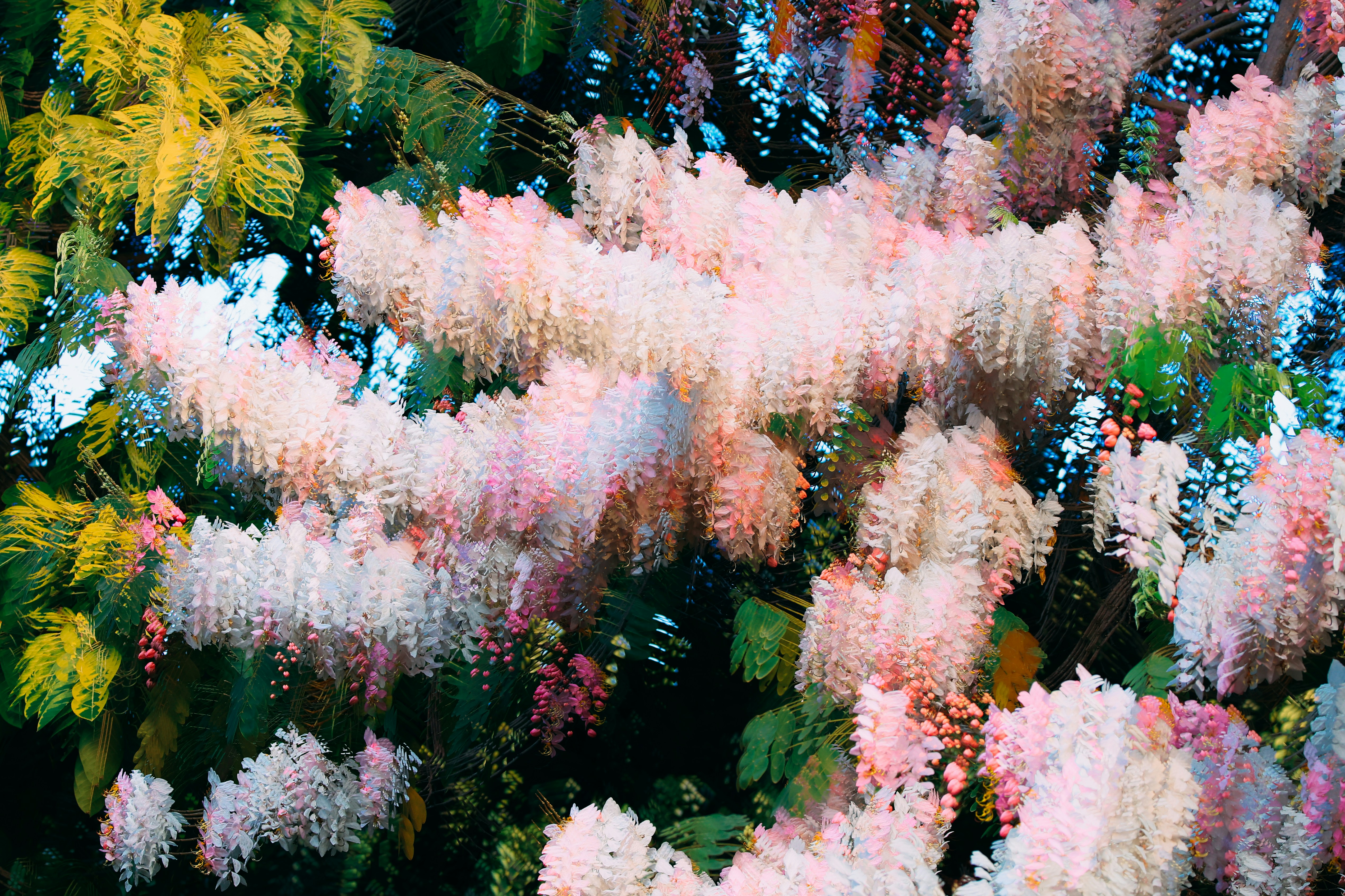 Abstract blur of pink and yellow flowers with green foliage.
