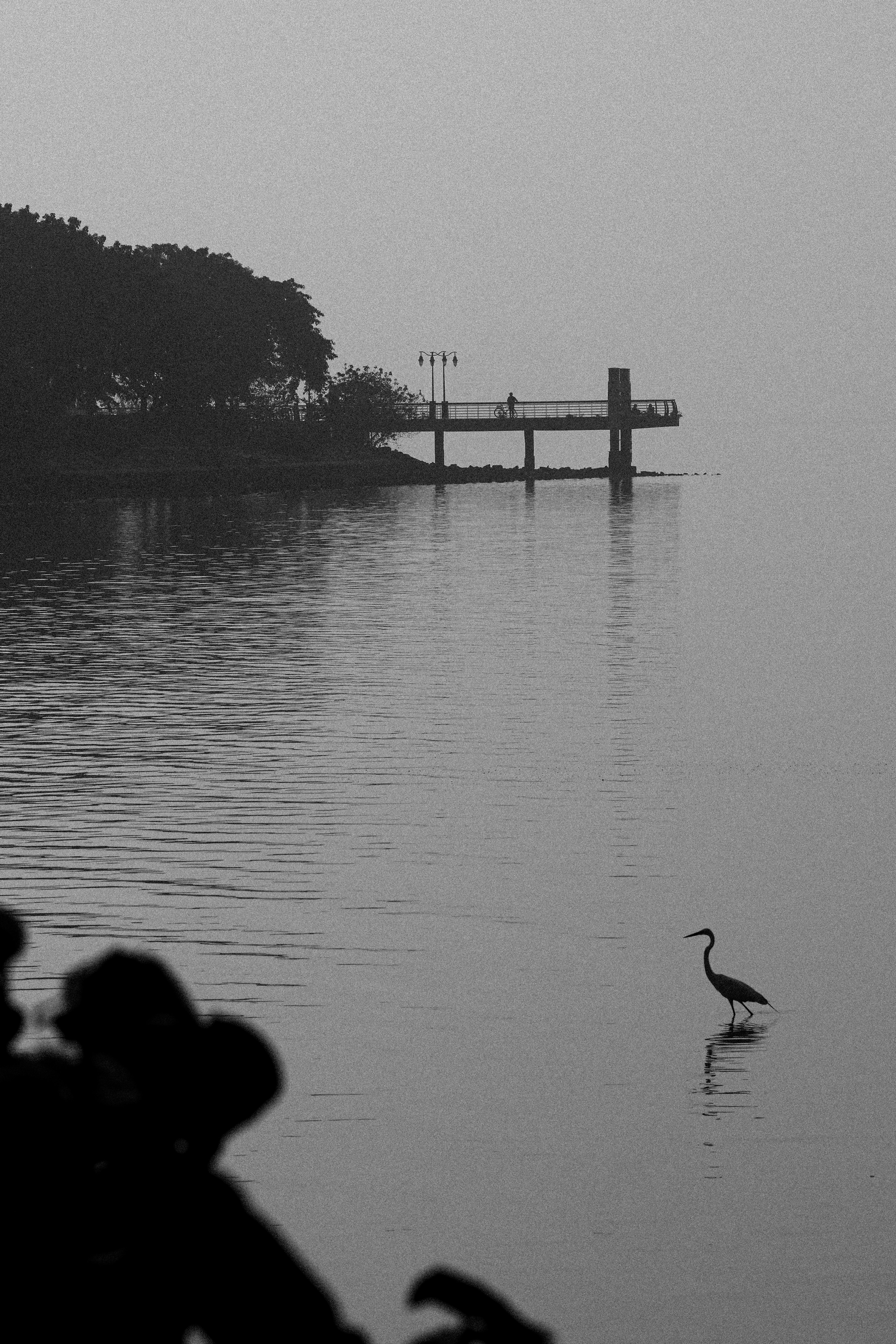 A solitary heron stands in shallow water near a pier.