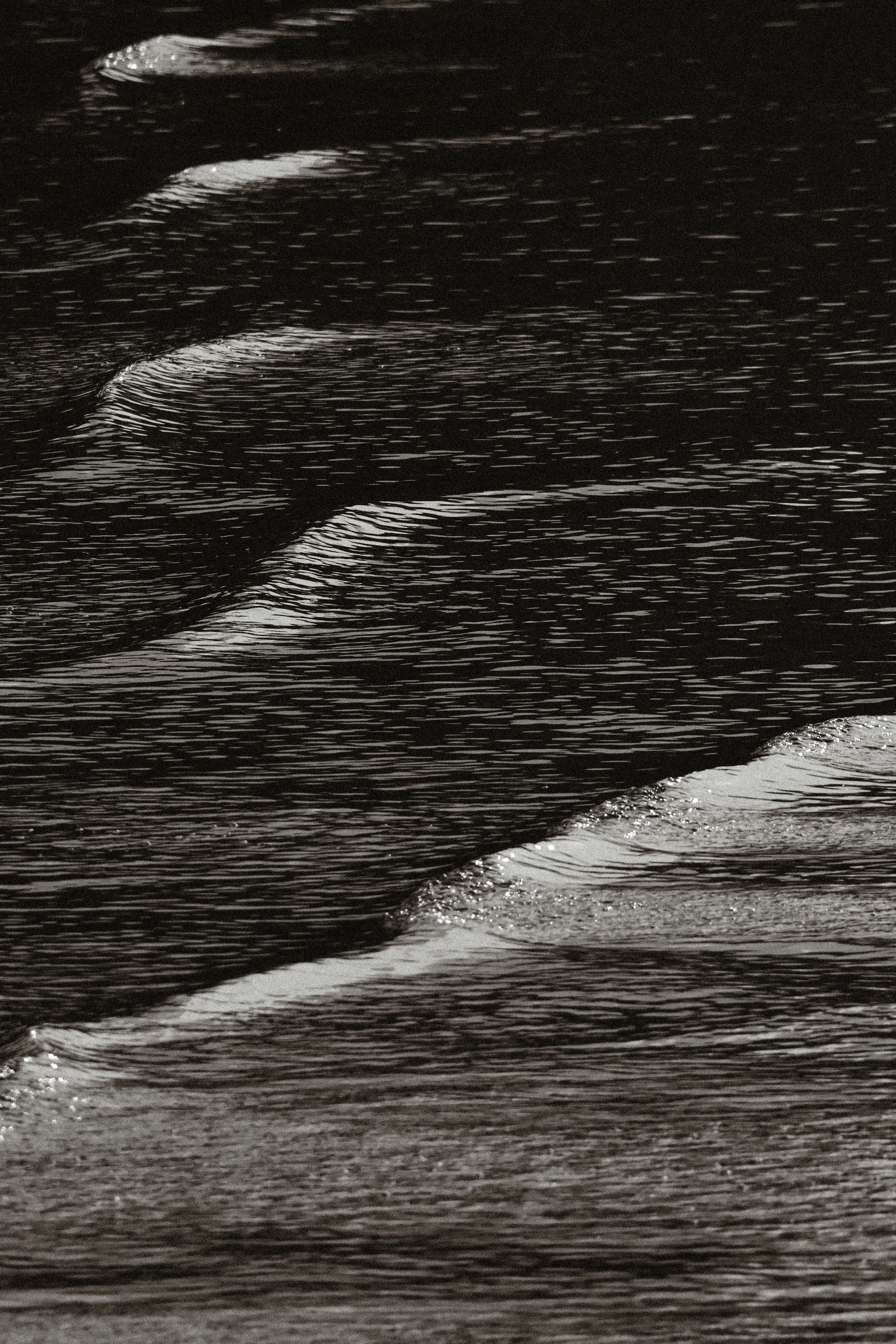 Ripples on dark water create abstract patterns