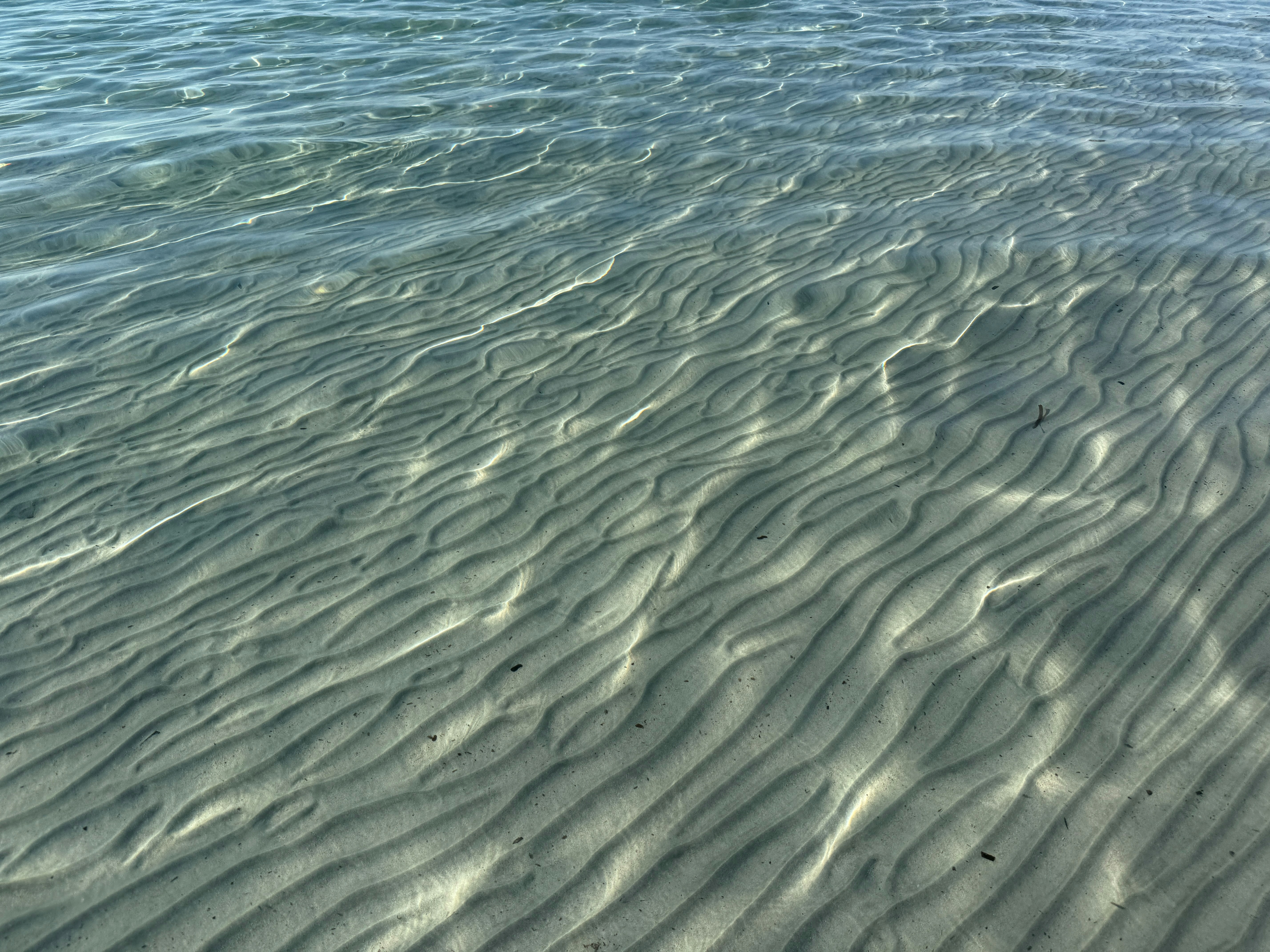 Magnetic Stripes Under the Sea Floor