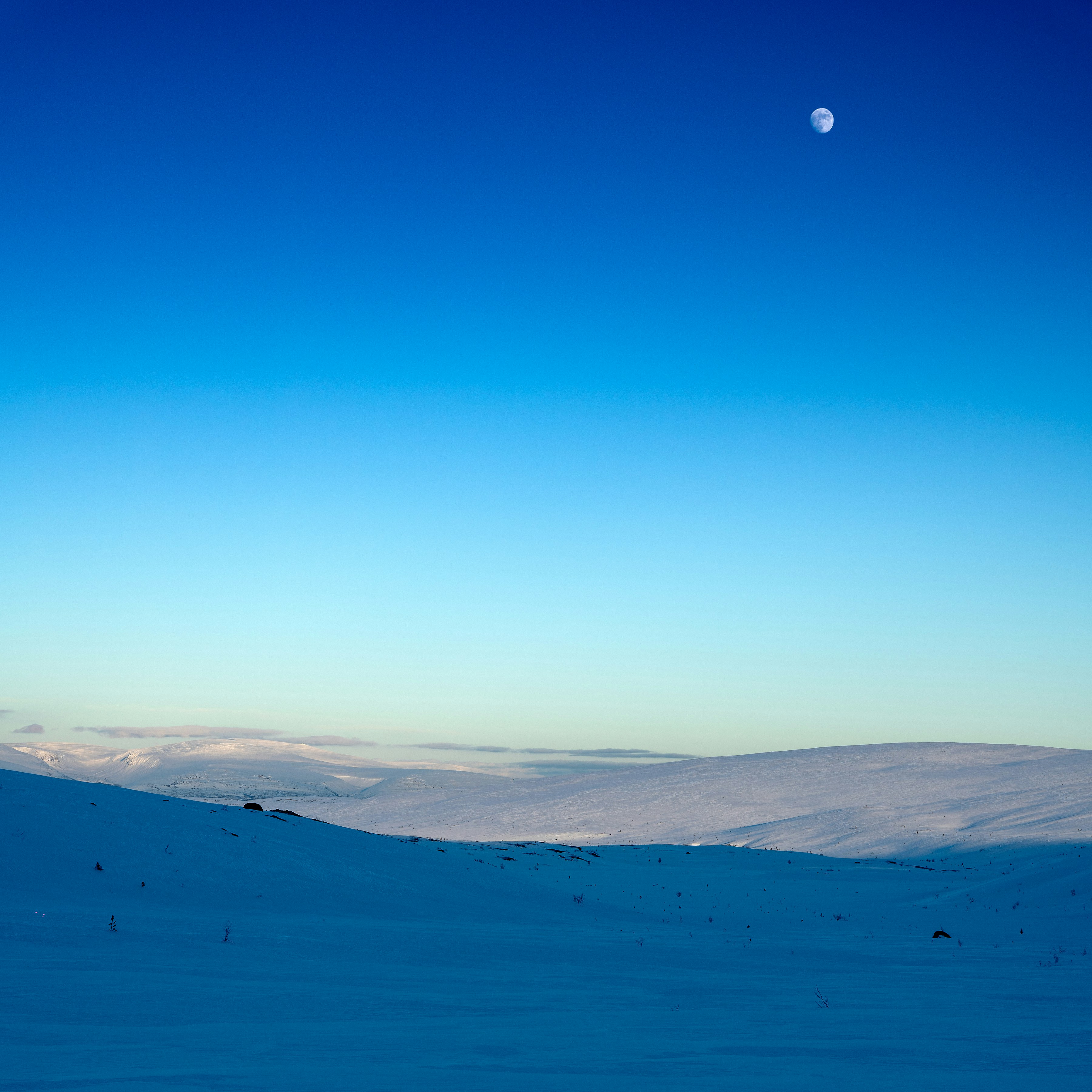 Clear blue sky over a snow-covered landscape