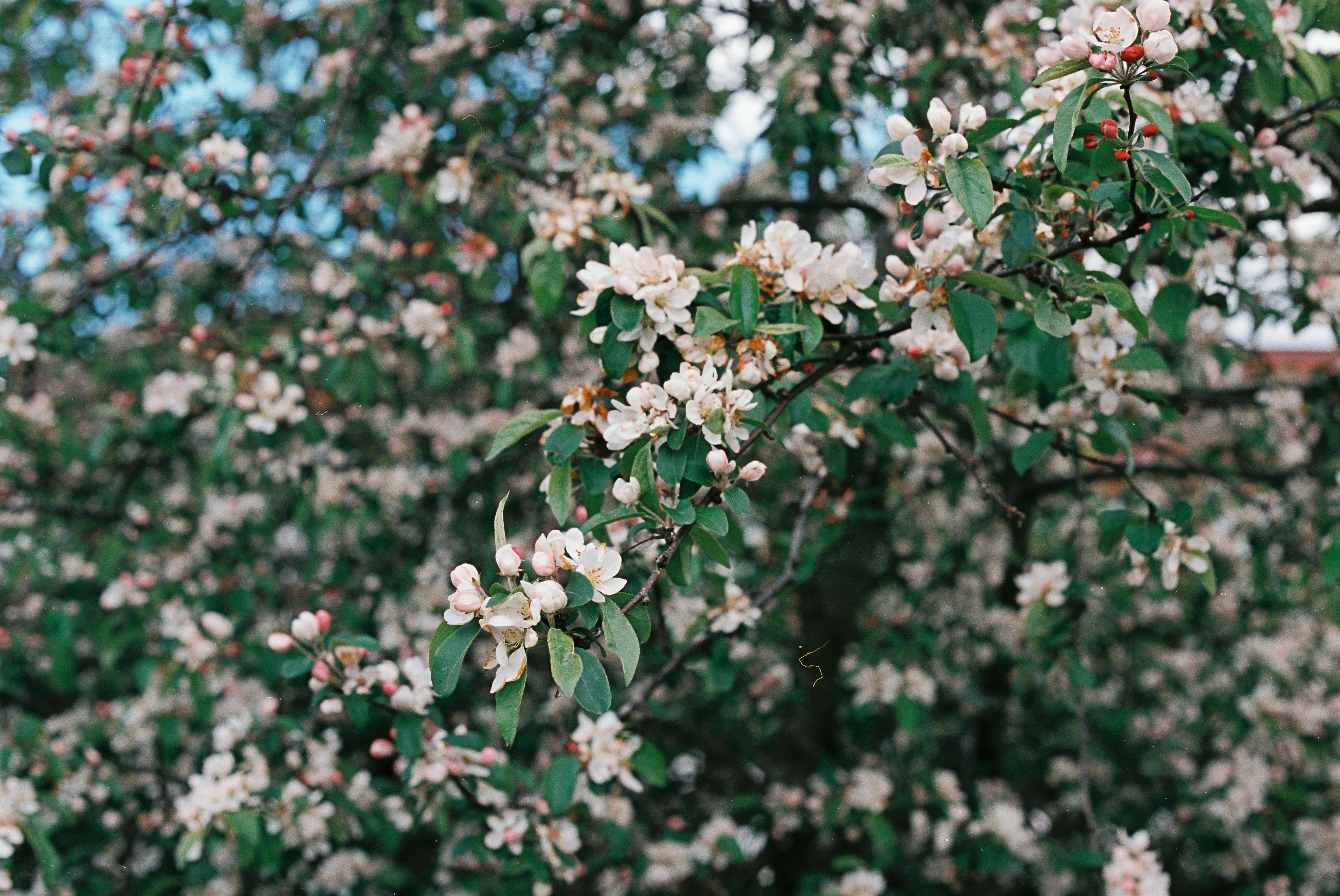 Photo by tanyabarrow