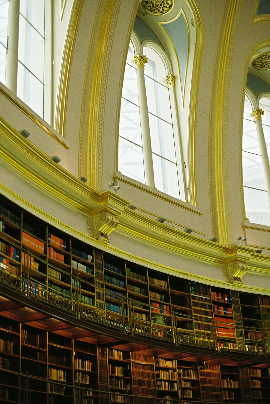 Curved university library with tall bookshelves