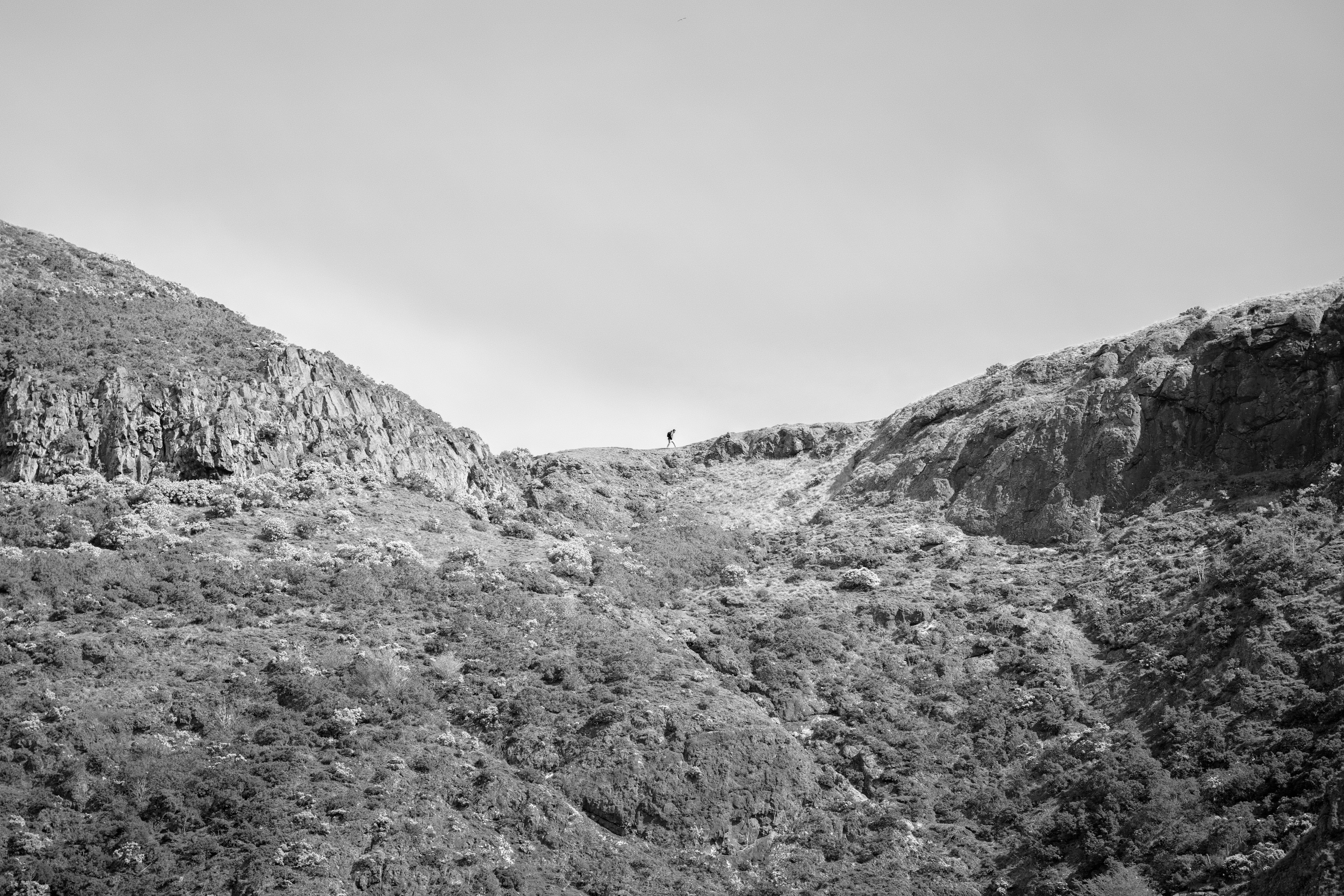 Photo by brunobd