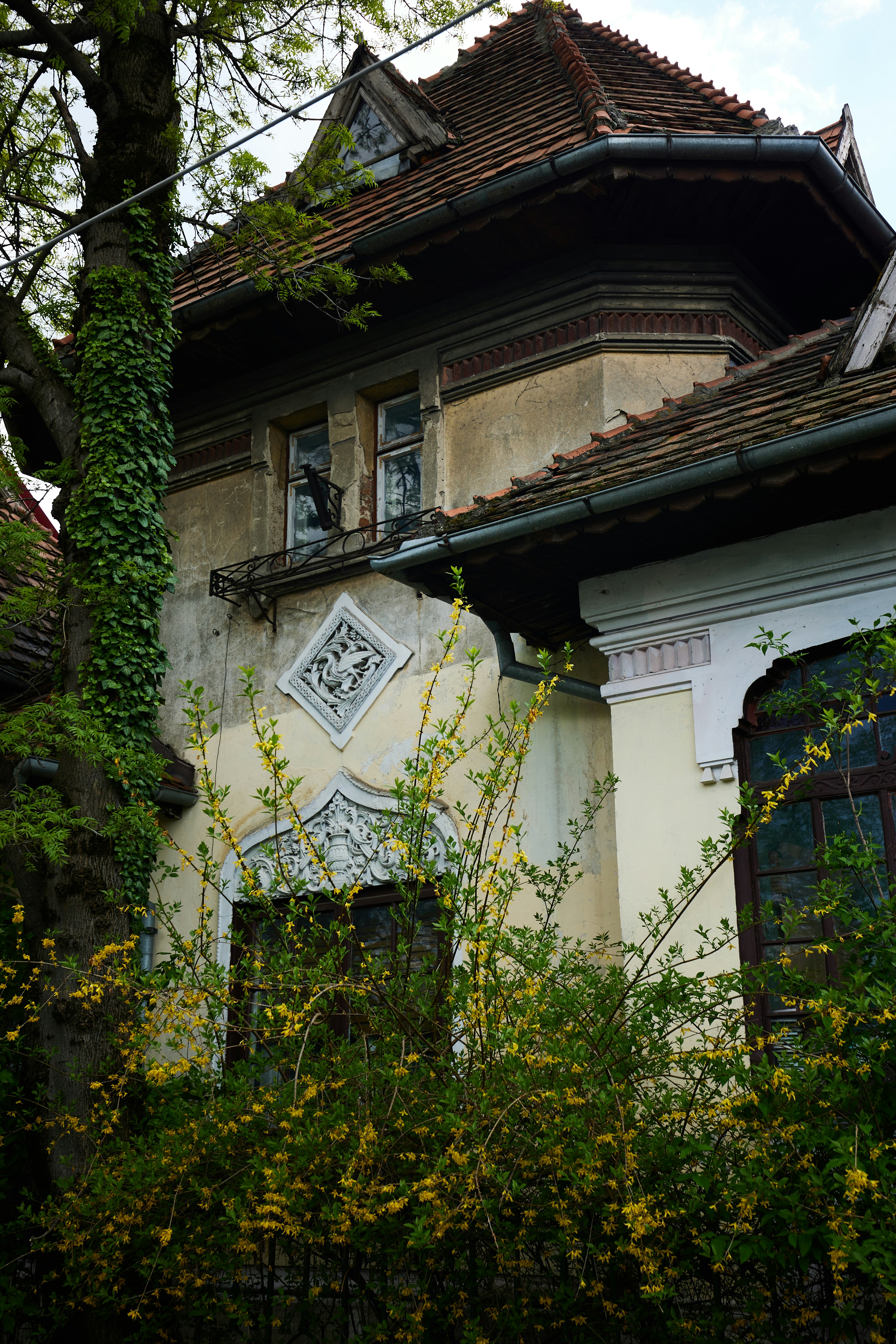 Casa antigua y ornamentada con vegetación crecida y flores amarillas