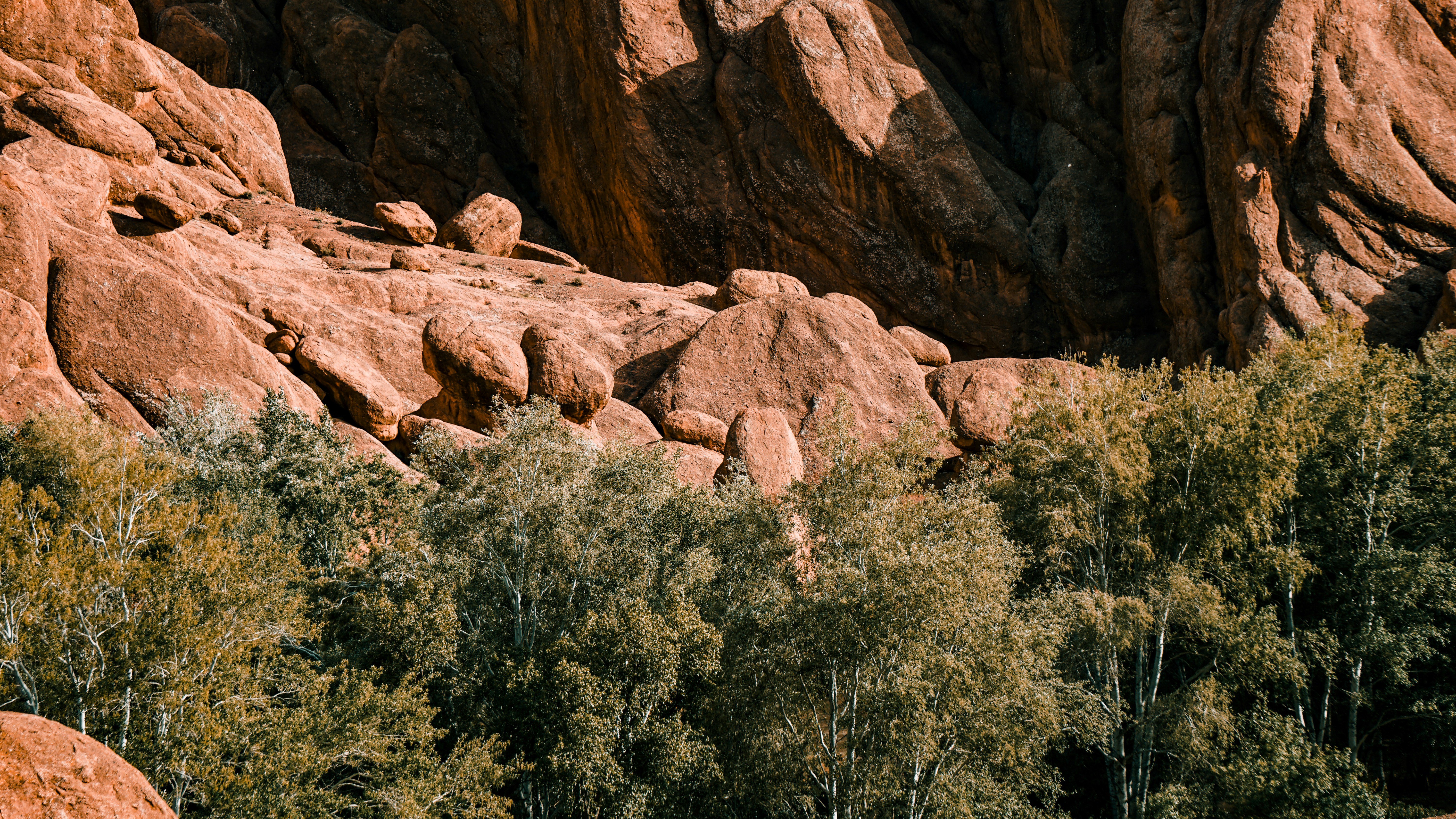 Red rock formations above green trees in a desert