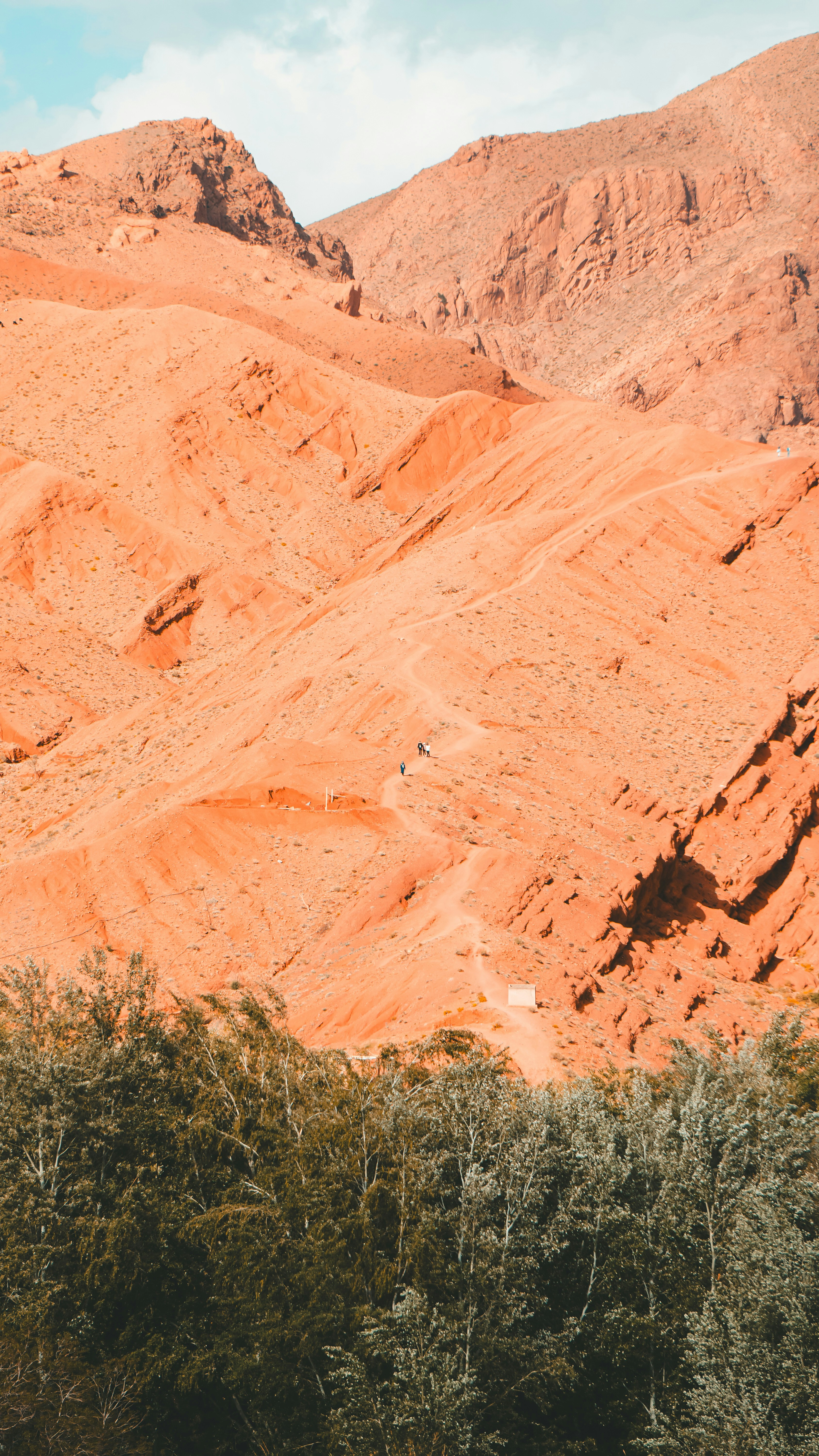 Orange desert mountains with green trees in foreground