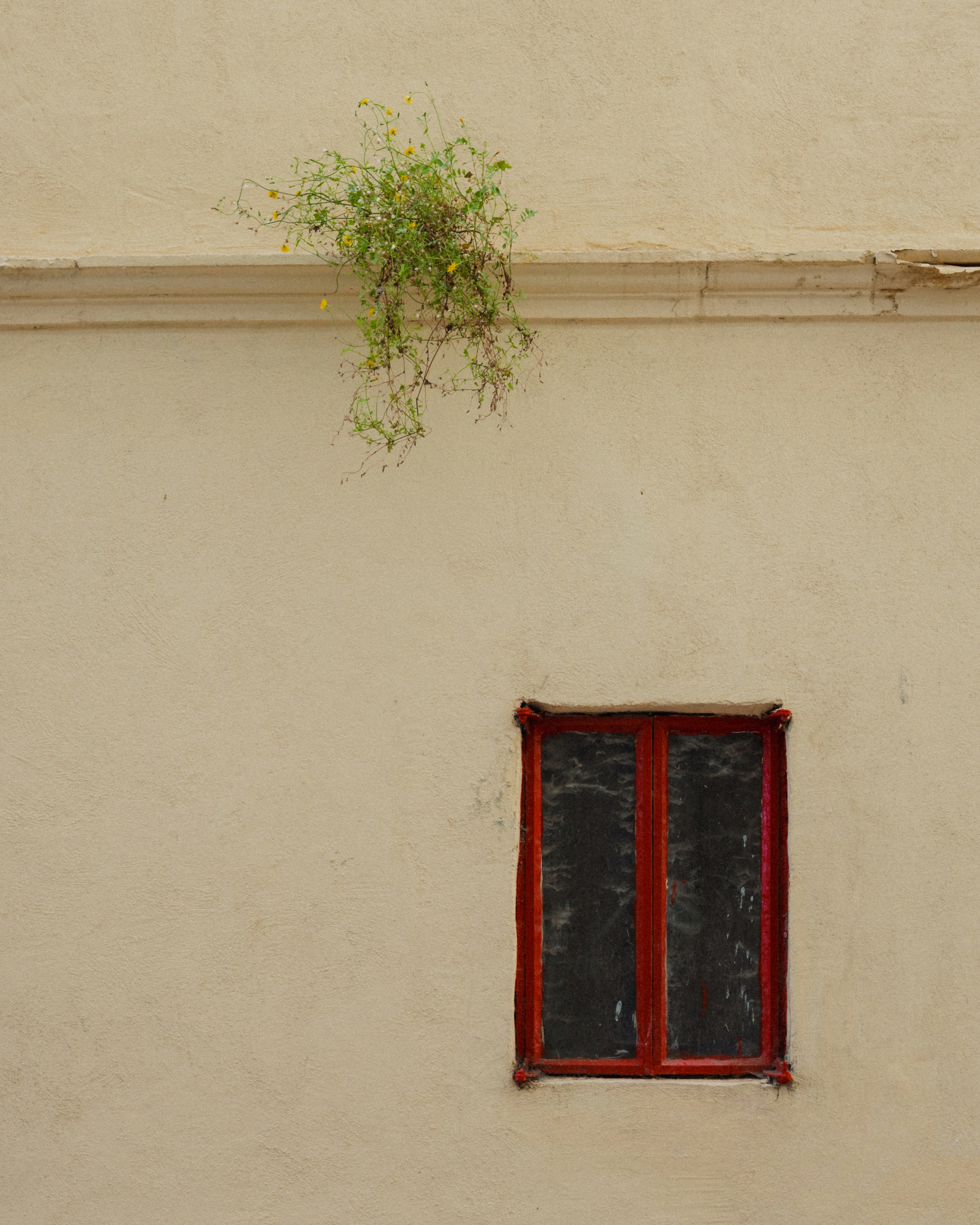 Photo by azeltisevs