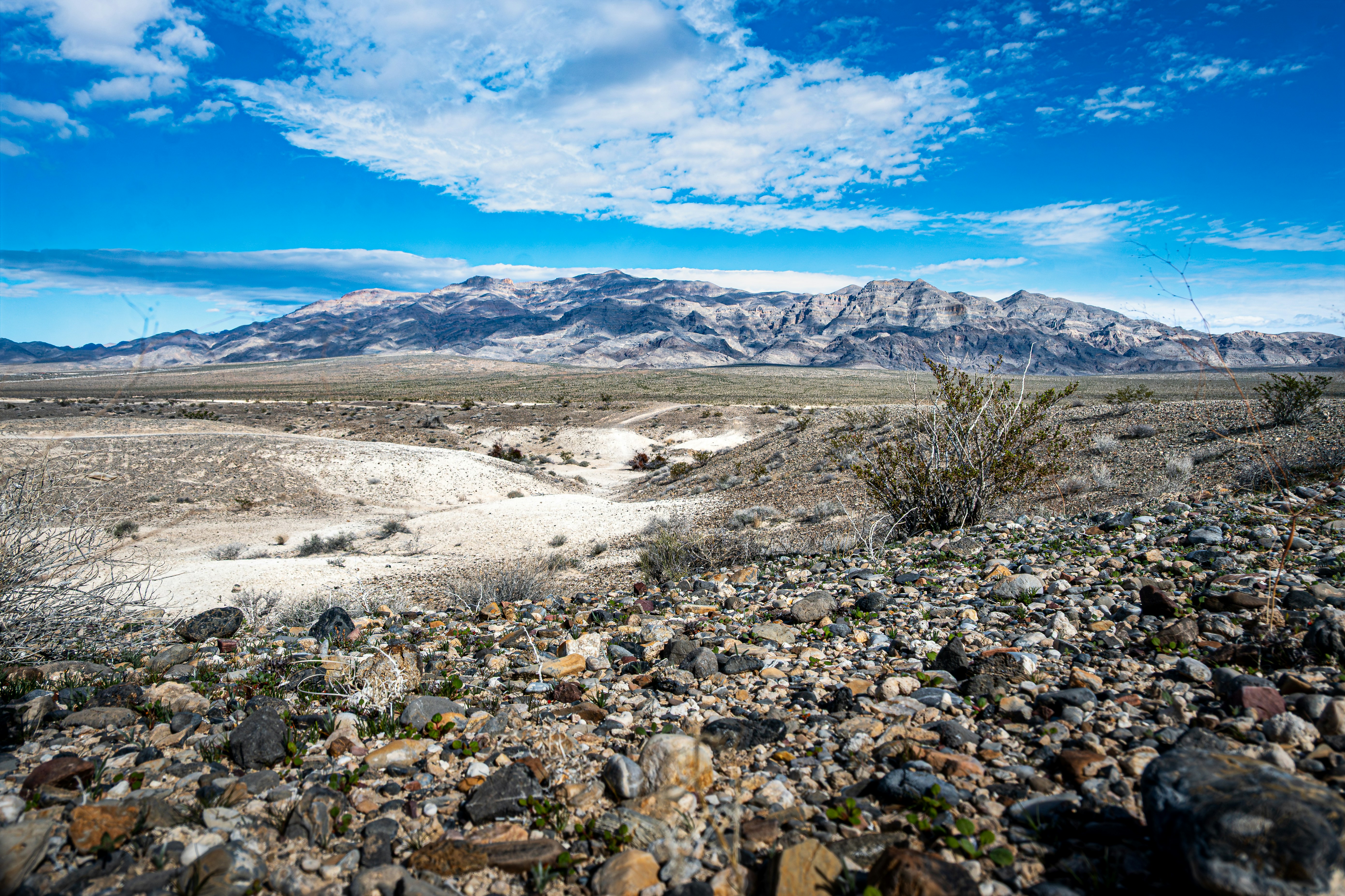 Photo by tylersphotographyus