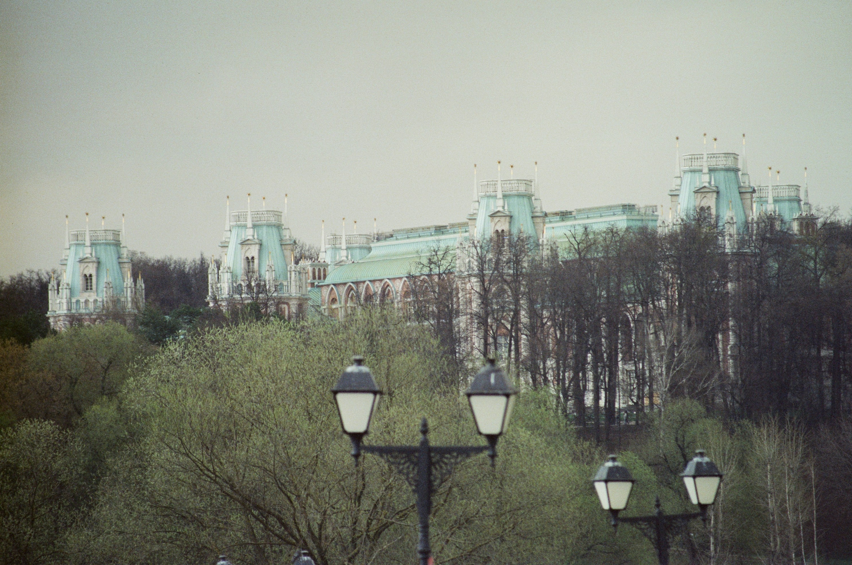 Ornate building with green roofs behind trees