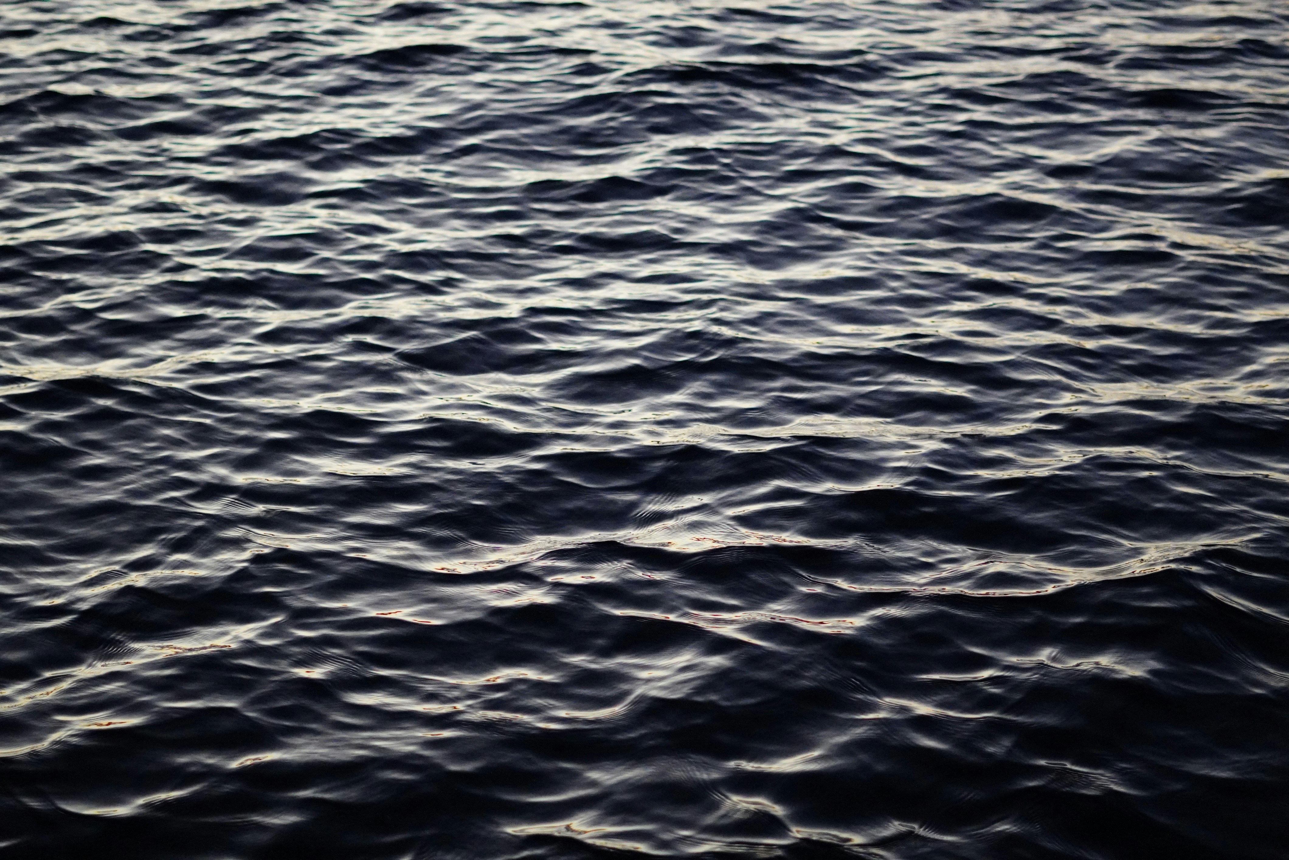 Photo by jazblaser28