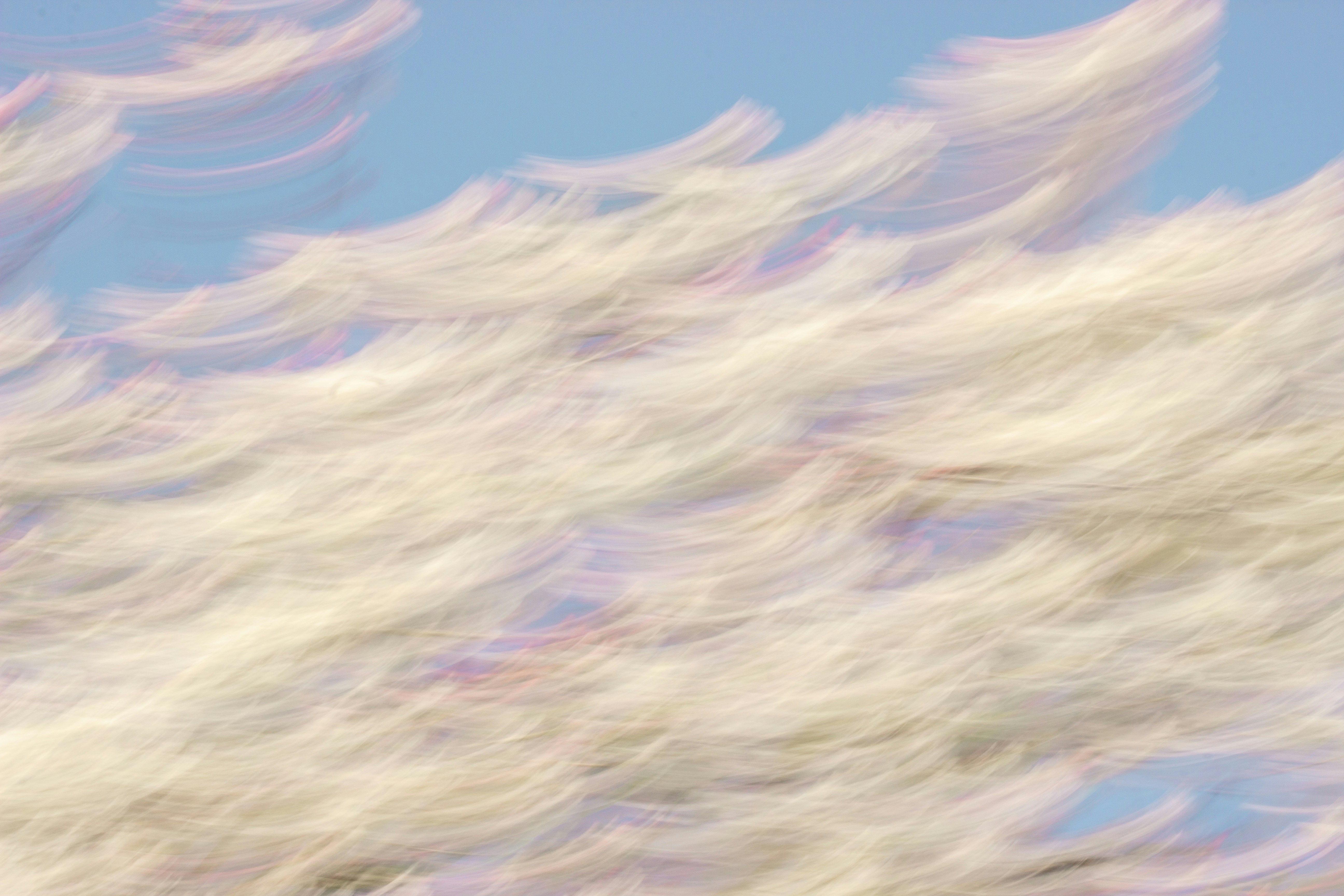 pastel abstract wallpaper, wallpaper, Digital Minimalism: Reclaiming Focus in a Noisy World 1