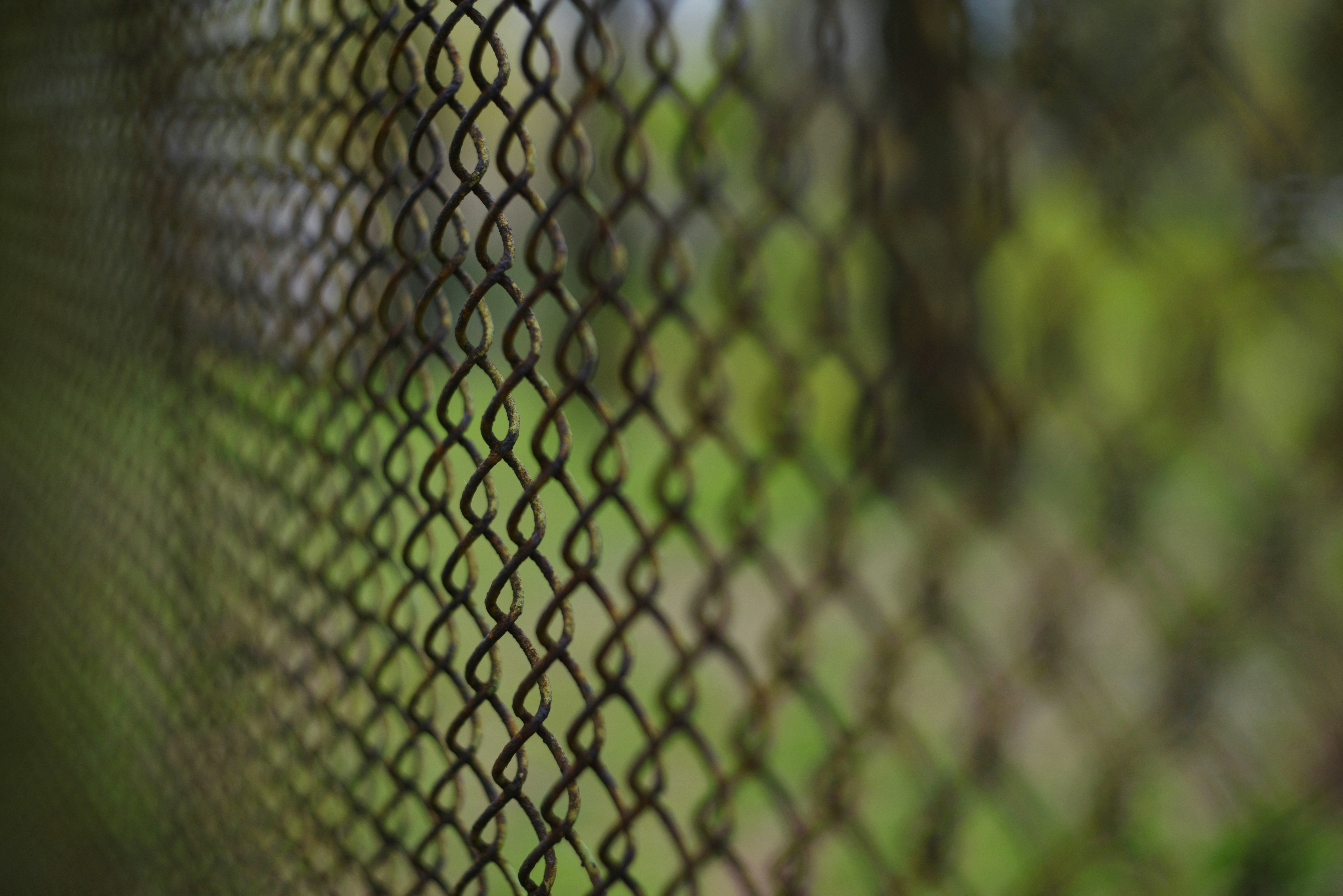 緑の葉が背後に広がる黒いチェーンリンクフェンスのクローズアップ
