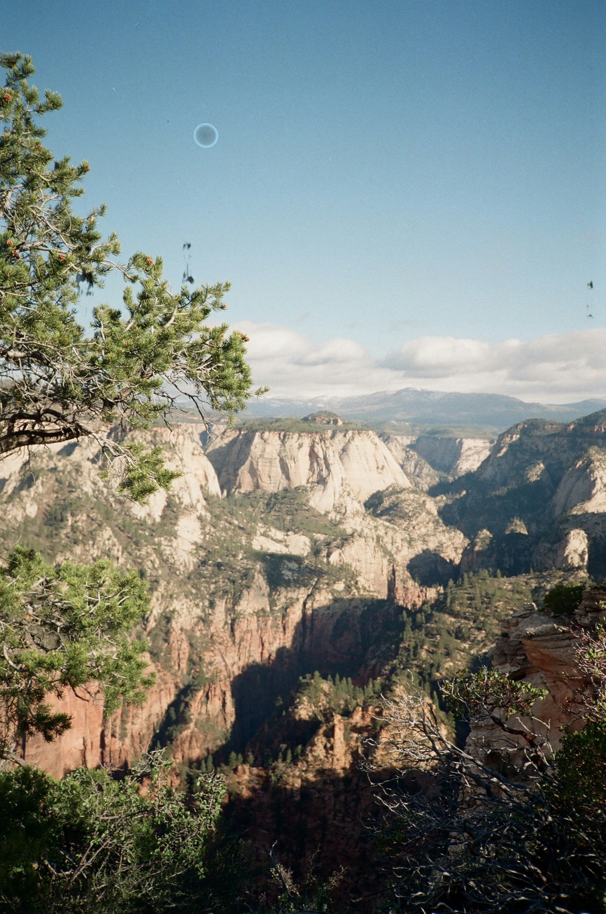 Photo by katewarner
