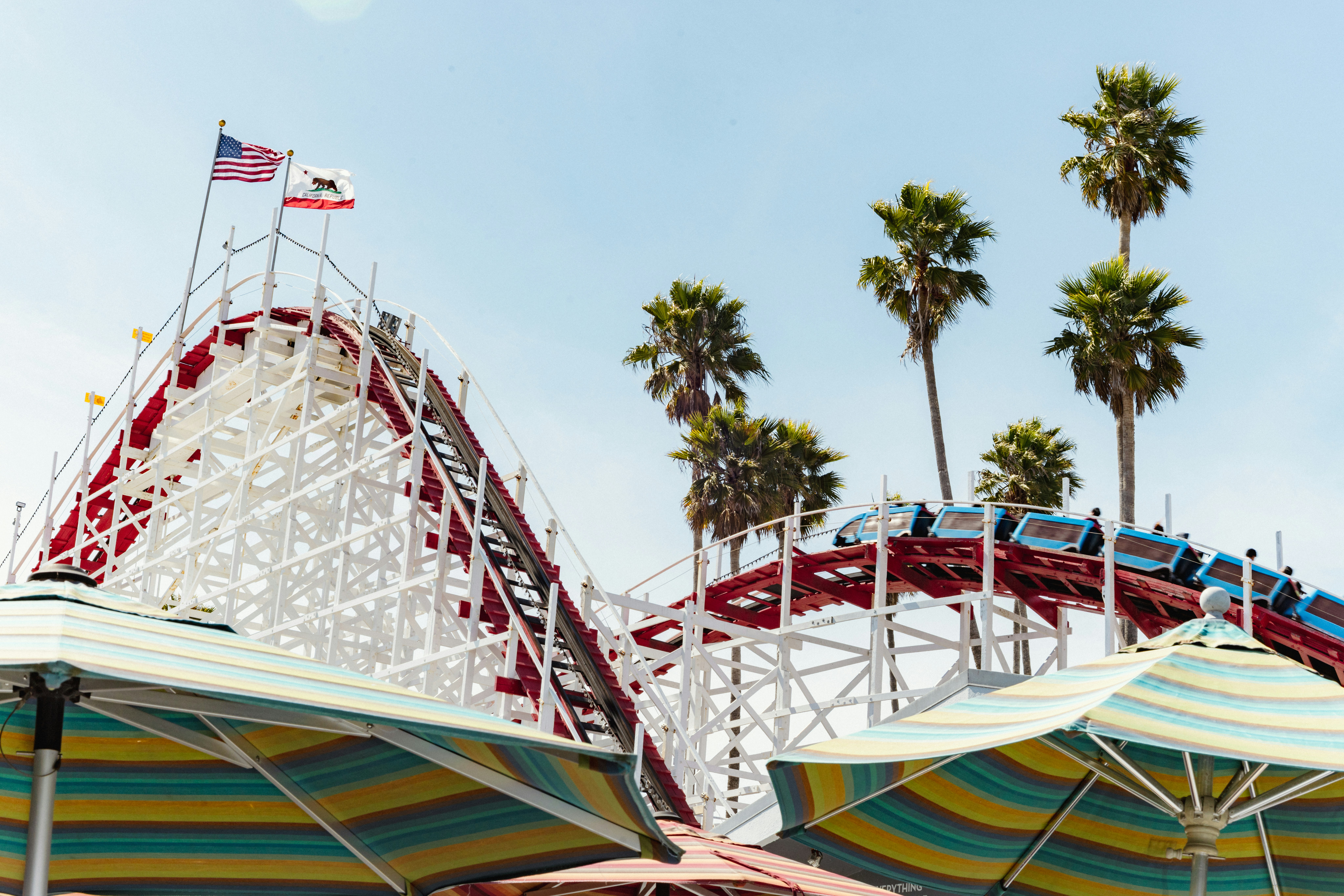 Roller coaster with palm trees under a clear sky