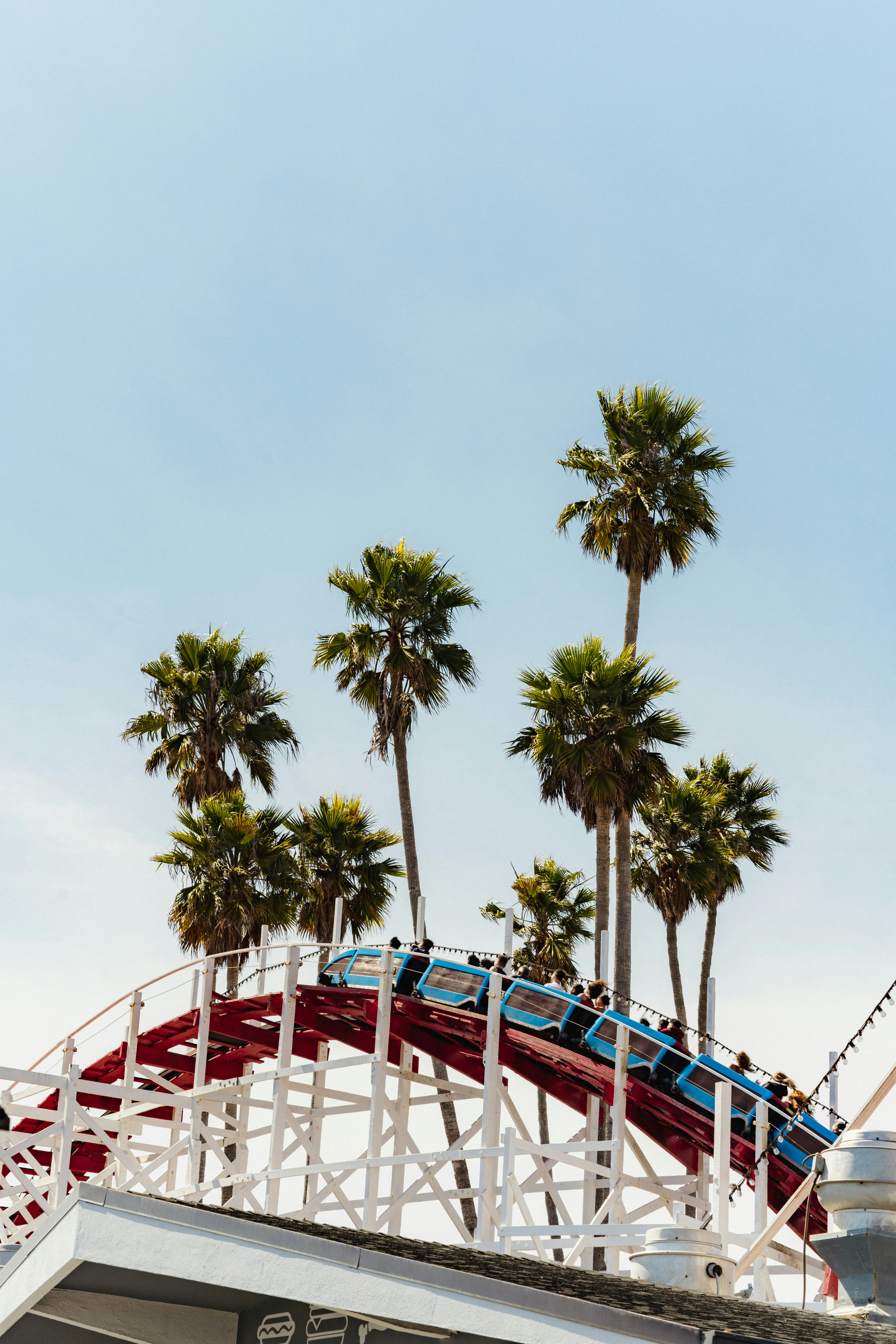 Roller coaster with palm trees against a blue sky