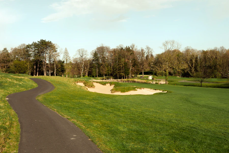 Quiet path through a golf course